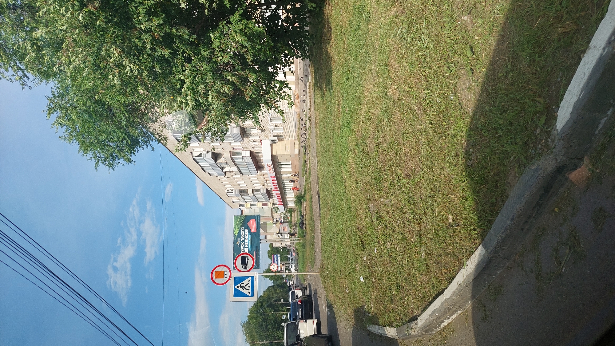 The image shows a street scene in Amursk, Russia, on a sunny day. In the foreground, a grassy median with a concrete curb separates the road from a sidewalk. A cluster of pigeons is gathered on the sidewalk near a building. The building is a multi-story residential apartment block with balconies and air conditioning units visible. A tree with lush green foliage grows in front of the building. Several traffic signs are present: a blue sign with a white pedestrian symbol, a red-and-white circular sign with a truck symbol, and a larger billboard advertising a product or service, with Russian text. Several cars are parked and driving on the road. Power lines are visible stretching across the sky, which is blue with scattered white clouds.
