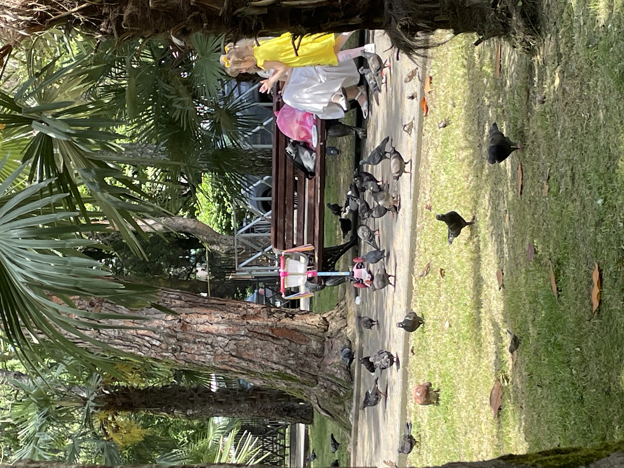 In a park setting in Sochi, Russia, a woman and a young girl are seated on a park bench under the shade of palm trees. The woman, wearing a white dress, is partially obscured by a large pink bag. The girl, in a bright yellow dress and yellow hair bows, is facing away from the camera, appearing to interact with the woman. Numerous pigeons are scattered on the paved area in front of the bench and on the grassy area beyond, some pecking at the ground. A stroller-like object with a white basket is situated near the bench. The environment is lush and green, indicative of a park with mature trees. The scene appears to be a casual outdoor moment, possibly during the daytime given the lighting conditions.