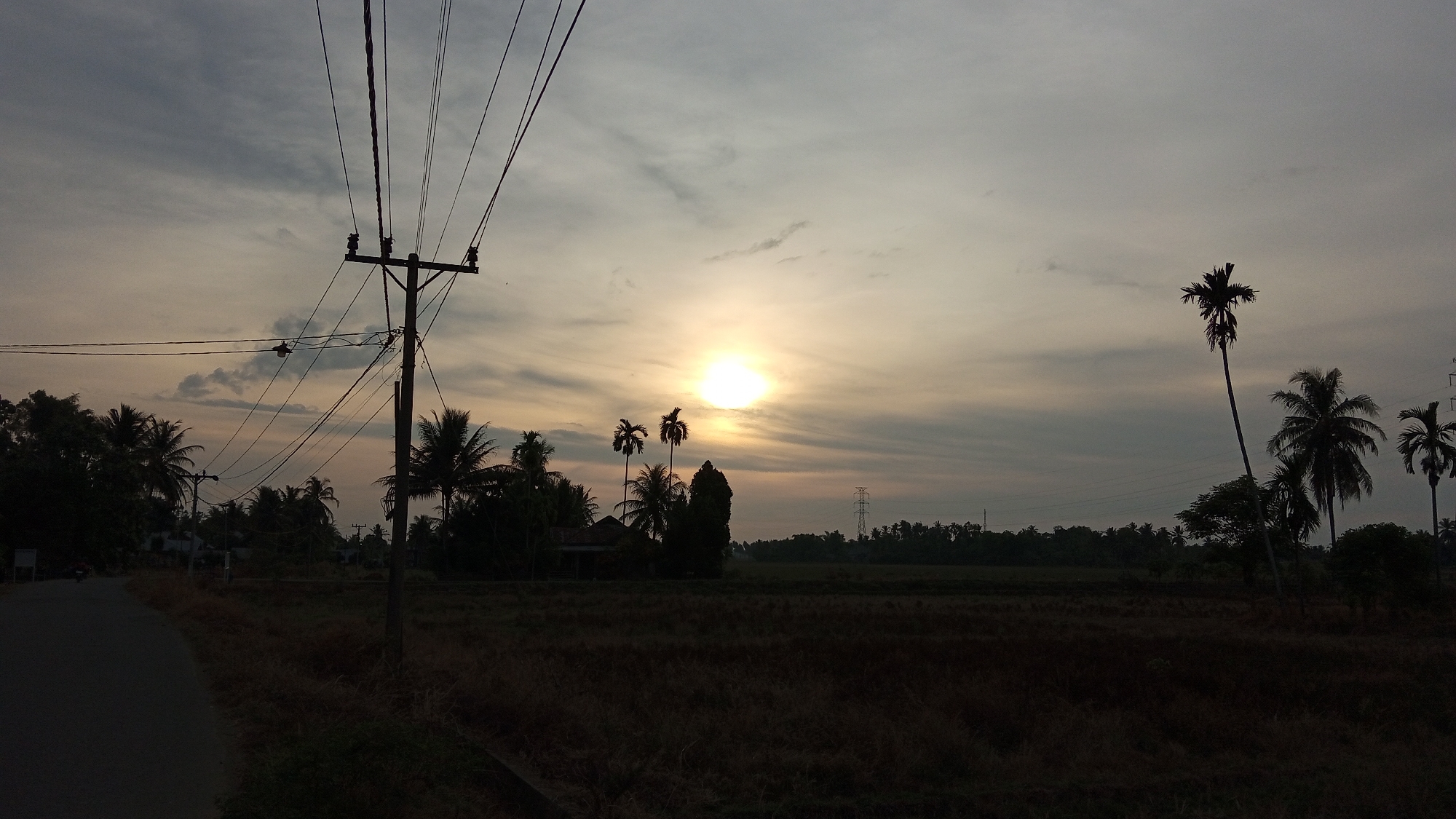 The image depicts a rural landscape at sunrise or sunset, likely in Blangrheuem, Indonesia, given the presence of palm trees and the style of power lines. The sun, a bright orb, is low in the sky, casting a warm glow through hazy clouds. In the foreground, a dark, grassy field stretches towards a dense line of trees and vegetation. To the left, a paved road curves away into the distance, with a solitary motorcycle visible on it. A prominent power pole with numerous overhead wires dominates the left side of the frame. Silhouetted against the sky are several palm trees of varying heights, some appearing tall and slender, others shorter and bushier. In the middle ground, a small cluster of buildings with dark roofs is nestled amongst the trees, suggesting a small settlement. Further in the distance, a transmission tower can be seen on the horizon, indicating the presence of larger infrastructure within the broader landscape. The overall atmosphere is serene and tranquil, characteristic of a rural setting at the beginning or end of the day.