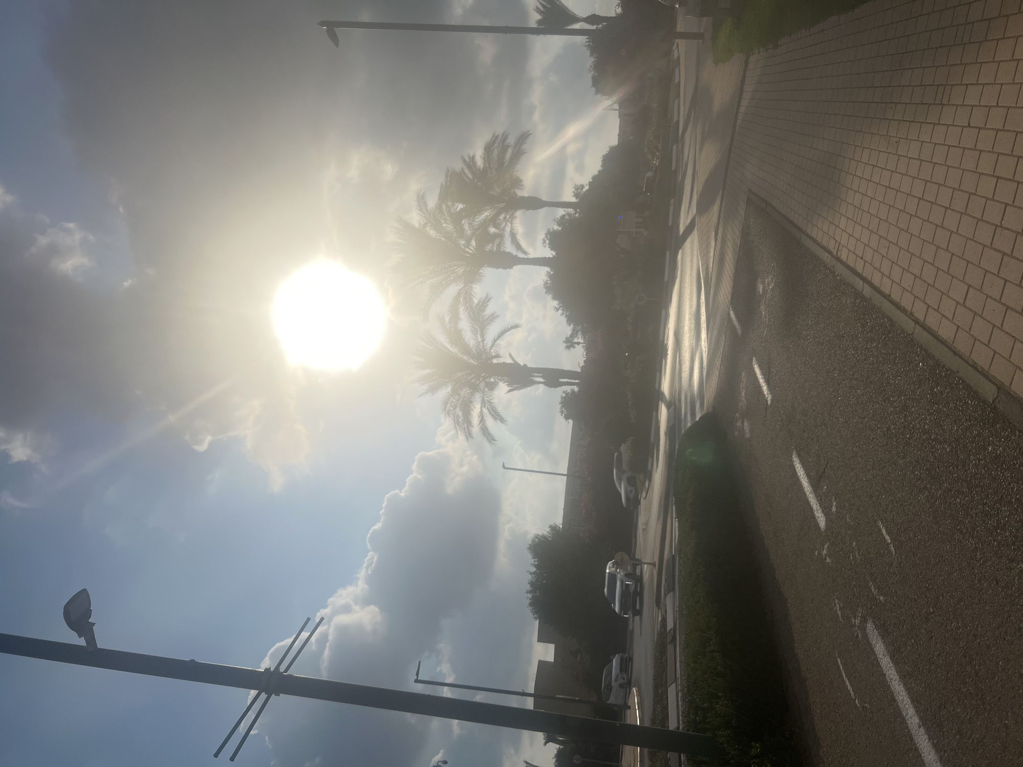 The image depicts a sunlit street scene in Hof HaCarmel Regional Council, Israel. The sun is bright and positioned in the upper left quadrant of the frame, creating a lens flare effect and casting a strong glow. Several palm trees are visible, silhouetted against the bright sky and hazy atmosphere, suggesting it is midday or late afternoon.
The scene includes a paved road with white lane markings and a brick-paved sidewalk to the right. There are a few cars visible on the road, suggesting it is a moderately trafficked area. The overall setting appears to be a suburban or semi-urban environment, possibly a street lined with trees and vegetation. A lamppost is visible in the foreground on the left. The weather appears to be clear, with some clouds present, but the sun is dominant, implying fair weather. The bright sunlight and hazy conditions might evoke a sense of warmth and perhaps a slightly humid or dusty atmosphere typical of the region. No people are clearly discernible in the image. No visible text is present.