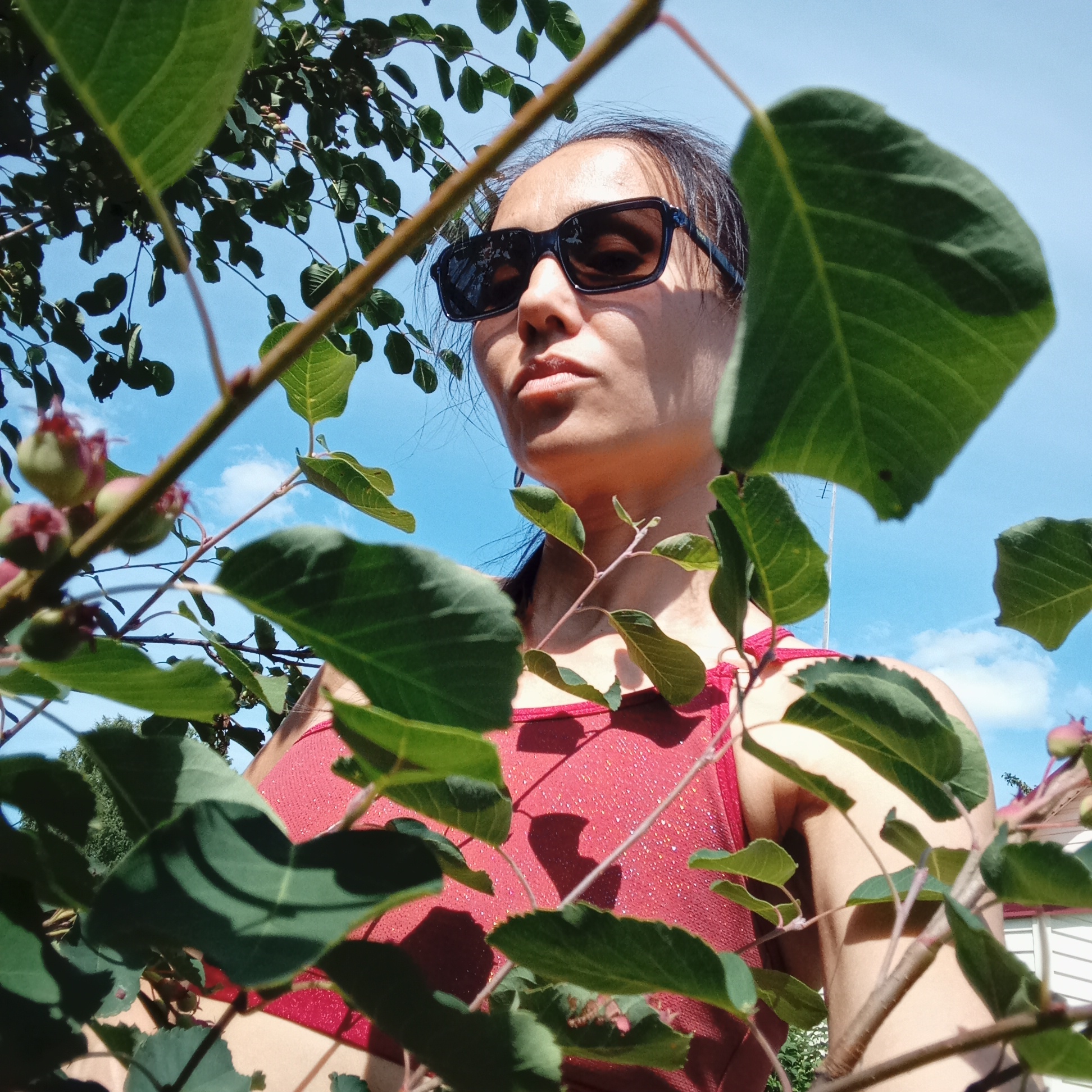 A medium shot captures a woman from the chest up, looking up through foliage against a bright blue sky with scattered clouds. She wears dark sunglasses and a sparkling red top. The leaves and branches of a tree are in the foreground, obscuring parts of her face and body. The background appears to be an outdoor environment, possibly a residential area, with a hint of a white building visible through the greenery. The image is taken at a low angle, emphasizing the sky and the overhanging branches. There is no information available about the specific location within Буренка, Russia.