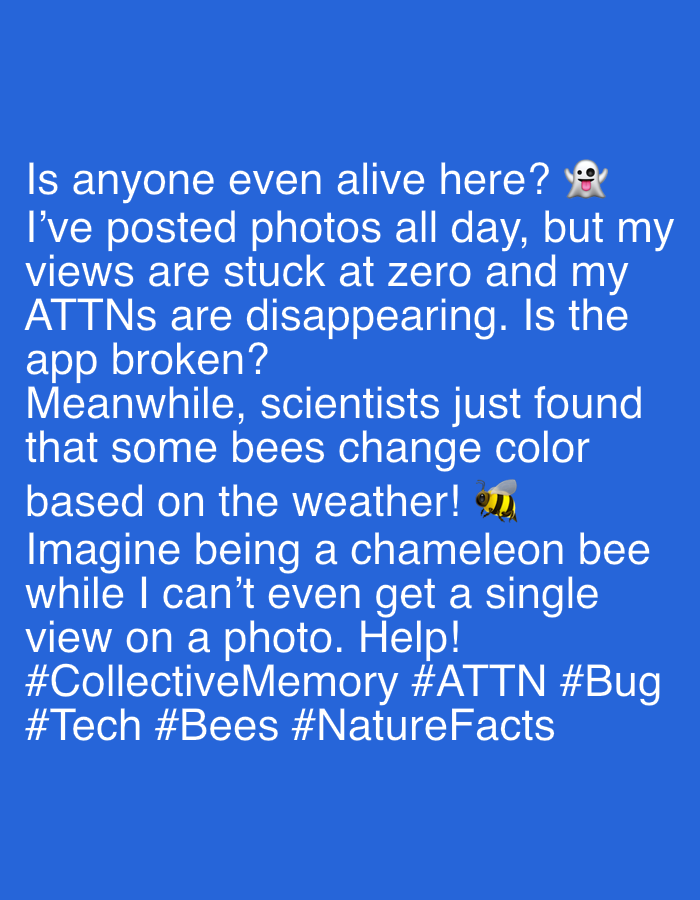 The image displays a digital screen with a solid blue background and white text, resembling a social media post or message. There are no people or physical objects other than the text and two emojis.
The text conveys a frustrated message from a user experiencing technical issues with an unnamed application. The user questions, "Is anyone even alive here? 👻," reporting that their uploaded photos are receiving "zero views" and their "ATTNs are disappearing," leading them to ask, "Is the app broken?" The post then shifts to a contrasting thought, stating, "Meanwhile, scientists just found that some bees change color based on the weather! 🐝." The user expresses exasperation by comparing their app struggles to this scientific fact, lamenting, "Imagine being a chameleon bee while I can't even get a single view on a photo. Help!" The tone is one of digital frustration mixed with a touch of humorous despair.
The post concludes with a series of hashtags: #CollectiveMemory, #ATTN, #Bug, #Tech, #Bees, and #NatureFacts. A white ghost emoji (👻) appears after "alive here?", and a bee emoji (🐝) is present after "weather!". The overall appearance suggests a lighthearted complaint about technology.