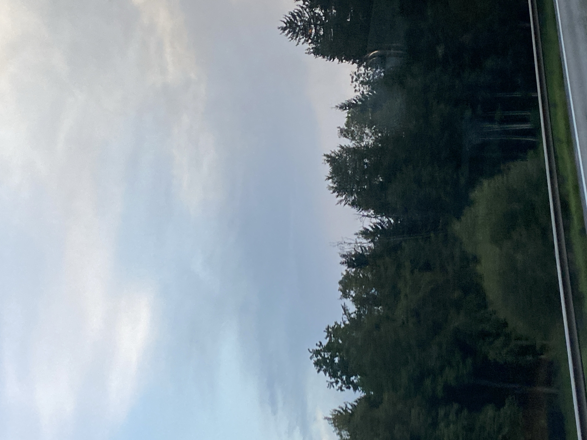 The image depicts a view of a forest bordering a road in Frasdorf, Germany. The sky is overcast with soft, diffused light. The foreground features a metallic guardrail, separating the viewer from a grassy area. Beyond the guardrail, a dense line of dark green coniferous trees forms the edge of the forest. Some deciduous trees with lighter green foliage are interspersed within the forest. The overall impression is of a natural landscape under a cloudy sky.