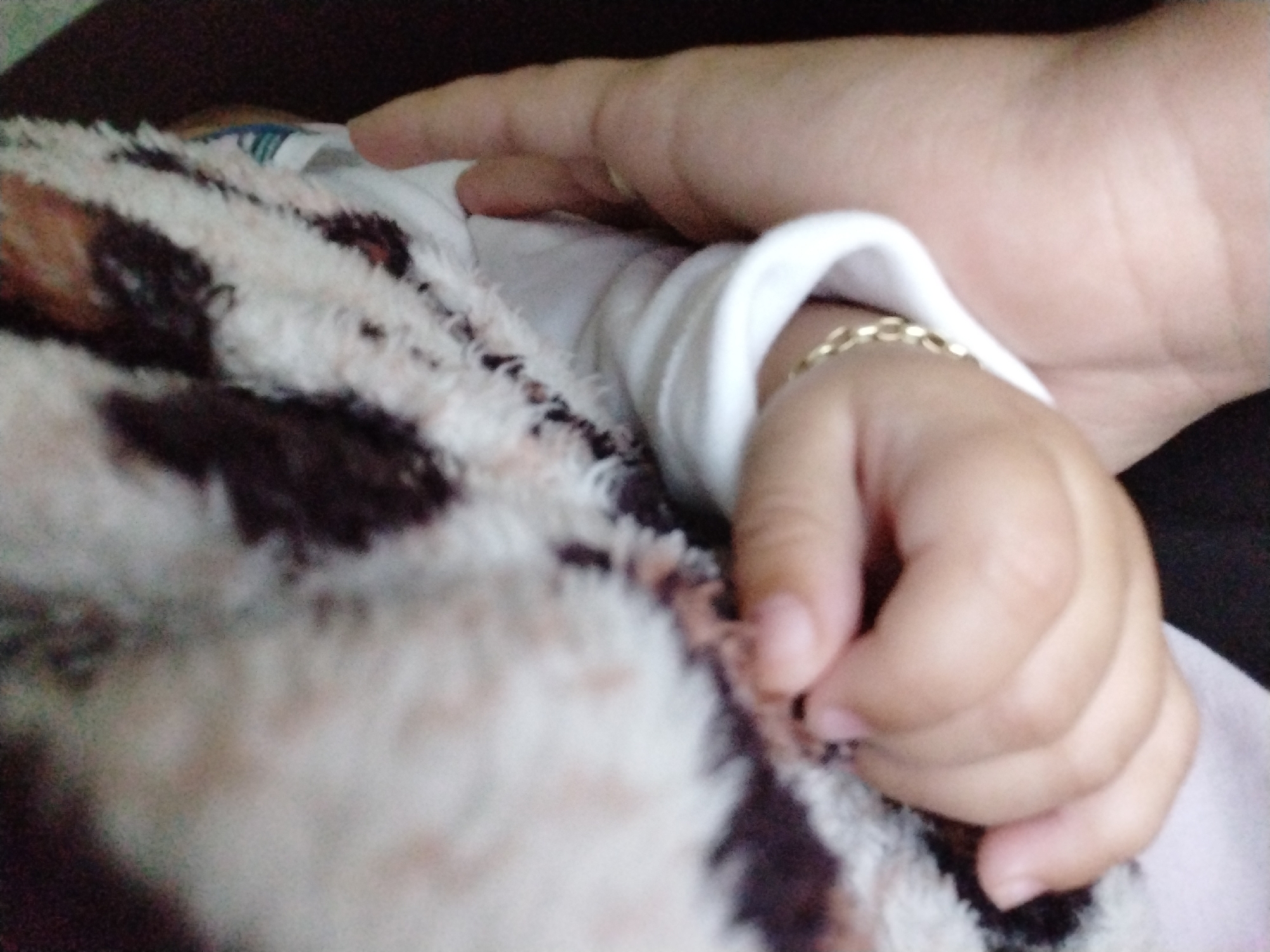 An image shows two hands, one much larger than the other, both resting on a fluffy blanket with a brown and white pattern. The smaller hand appears to belong to an infant, and has a gold chain bracelet around the wrist. The larger hand is placed protectively over the infant's hand. A white garment is beneath both hands. The location is Unknown, Unknown.