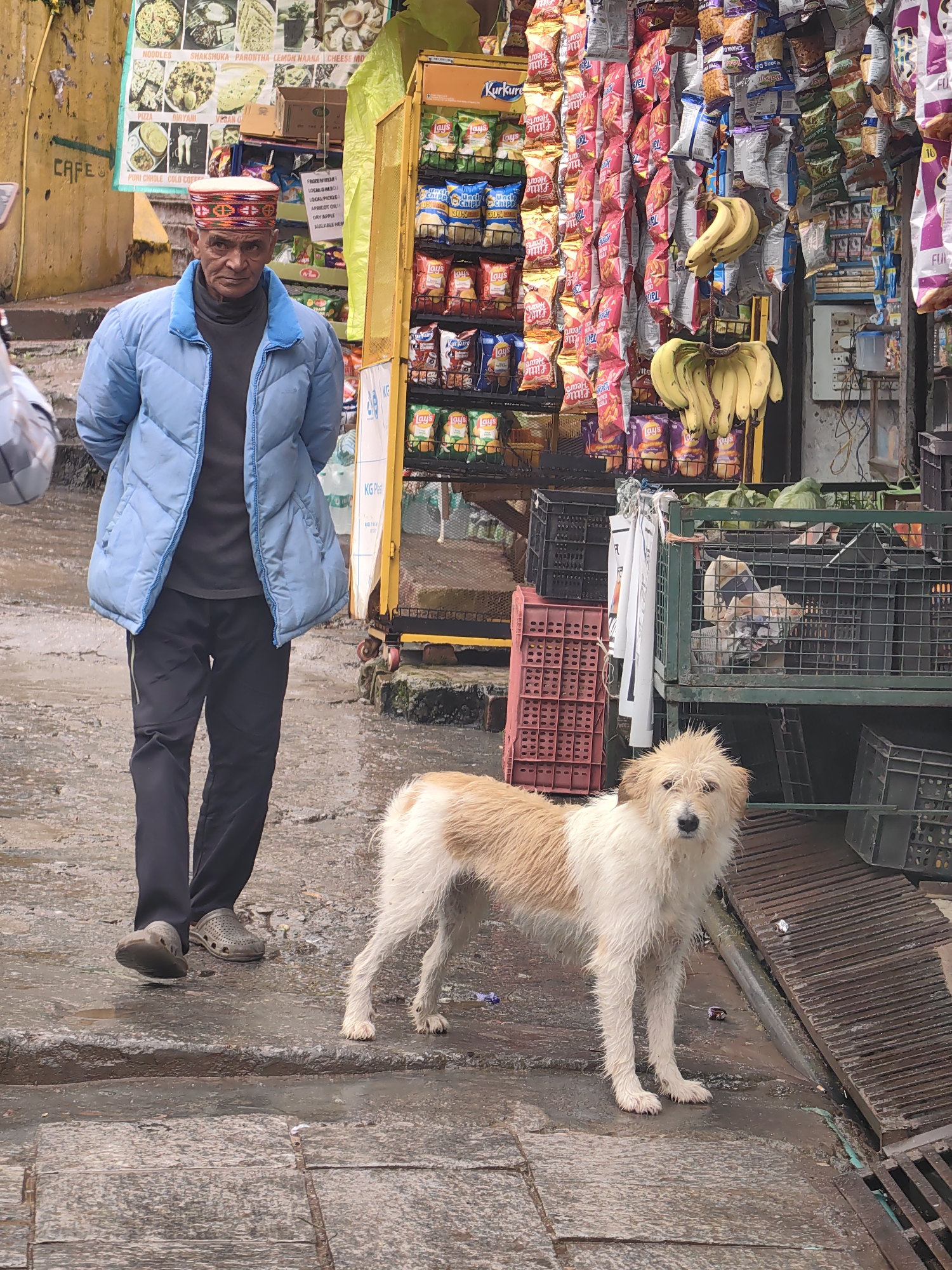 In Vashisht, India, a man wearing a traditional Himachali cap and a blue puffer jacket stands on a wet, cobbled street next to a market stall. He is facing the camera, with his hands behind his back. Beside him, a medium-sized, light-colored dog with brown markings stands facing the camera, its fur wet. Behind the man, a yellow cart displays various packaged snacks, and a wall behind the cart has a sign that reads "CAFE". The street is lined with more market stalls filled with goods, including bananas hanging from a display. The ground appears to be wet, suggesting recent rain.