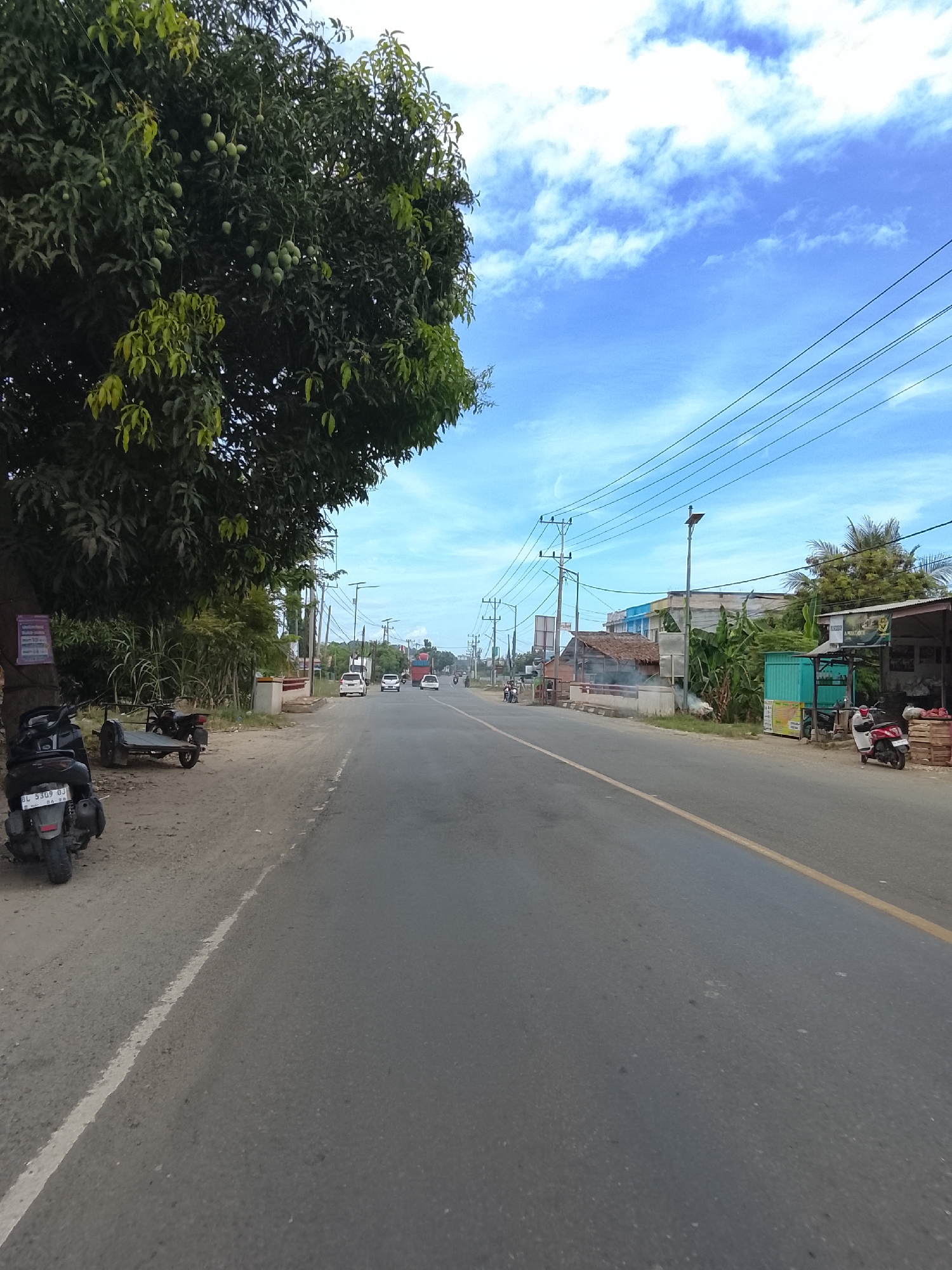 The image depicts a view from the side of a road in Bunot, Indonesia, with a clear blue sky dotted with white clouds. On the left side of the road, a large tree laden with unripe mangoes stands prominently, with its lower branches extending over the unpaved shoulder. Parked near the tree are two motorbikes, one with a sidecar. The unpaved shoulder transitions into a paved road that curves gently to the right. Along the right side of the road, buildings and stalls are visible, including structures with thatched roofs and what appears to be a market area. Power lines crisscross the sky above the road. Several vehicles, including cars and trucks, are traveling on the road in the distance. The scene suggests a rural or semi-urban setting with ongoing daily activities.