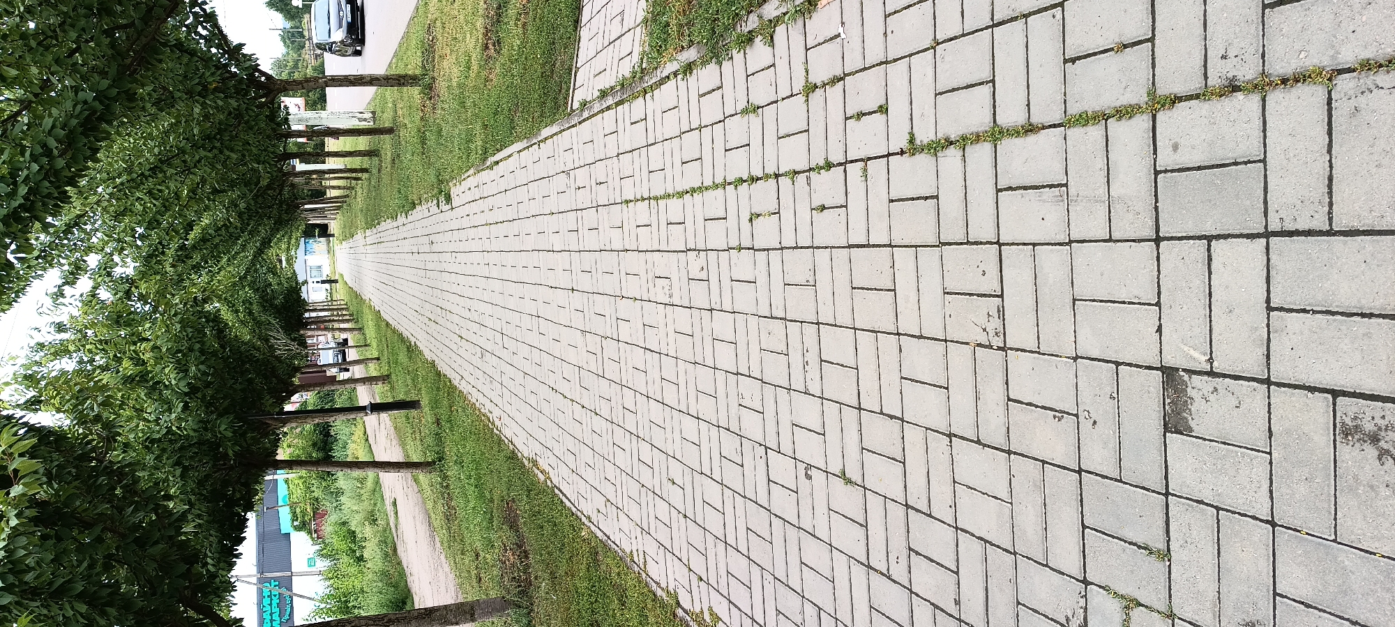 The image depicts a paved pedestrian walkway lined with trees on either side, creating an arched canopy effect. The walkway is constructed from rectangular concrete pavers laid in a herringbone pattern. To the left of the walkway, there is a grassy area and a dirt path, beyond which is a building with signage, including "ФАВОРИТ МАРКЕТ" (FAVORIT MARKET) in Cyrillic. On the right side of the walkway, there is also a grassy area and a road where a black car is visible. The scene appears to be an urban or suburban environment on a cloudy day, suggesting the location is in Kamianka, Ukraine. The perspective is from ground level, looking down the length of the walkway.