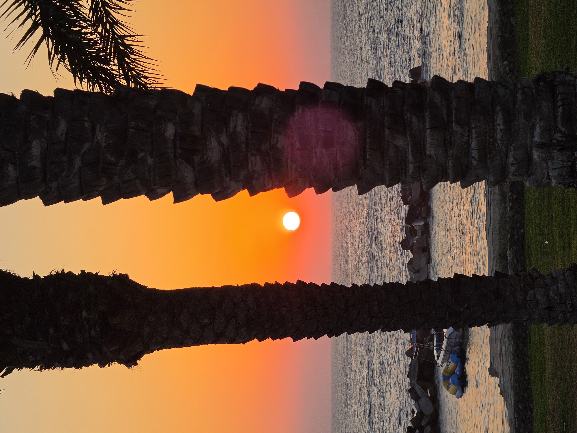 This is a vertical, close-up photograph of two silhouetted palm trees framing a sunset over the sea in Chlorakas Community, Cyprus. The sky is a gradient of orange and pink, with a bright, white sun low on the horizon. The sea is a deep blue, with gentle waves. In the distance, a small boat with an inflatable water toy is anchored near a rocky breakwater. The palm trees are dark brown and textured, with their fronds appearing on the right side of the image. The foreground shows a patch of green grass and a low stone wall.