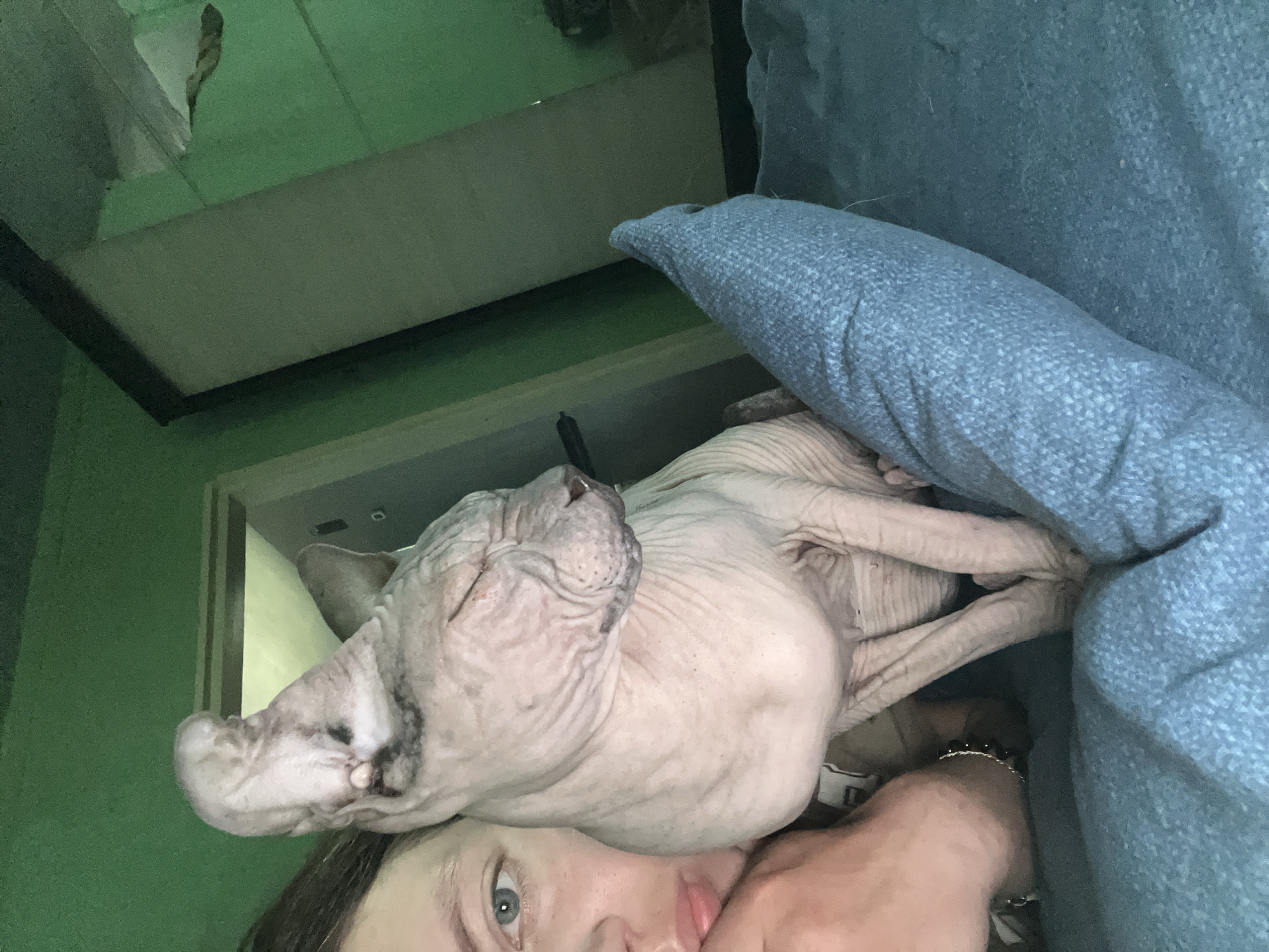 A pale-skinned person with blue eyes and brown hair is holding a Sphynx cat. The cat is wrinkly and appears to be sleeping. The setting includes a green wall and doorway. A blue cushion is visible. The location is indiscernible from the information available in the image.