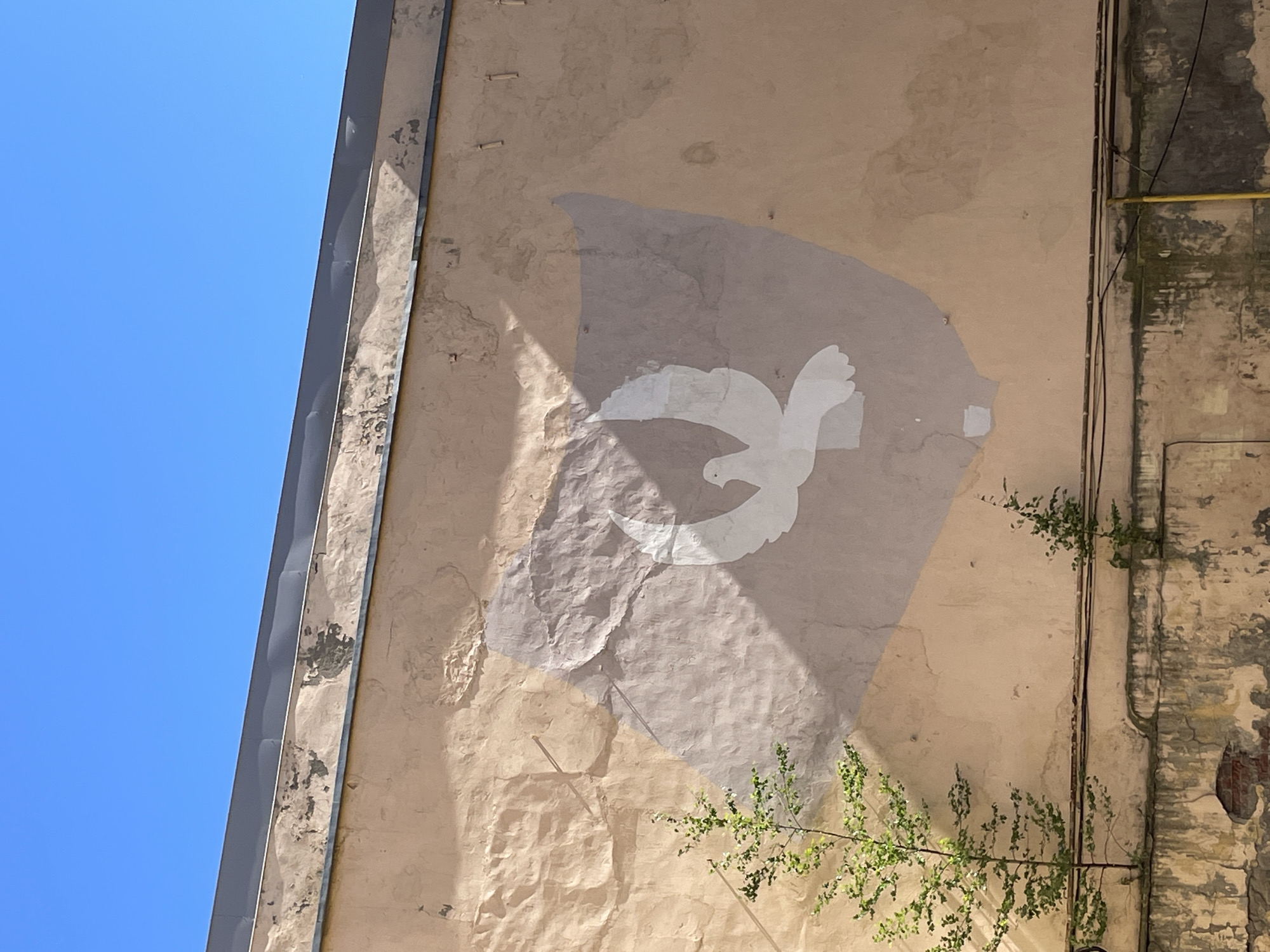 The media file shows a close-up, angled view of a weathered building exterior under a bright blue sky, likely on a sunny day. The dominant subject is a faded mural or stencil of a white dove, a symbol of peace, on a beige, textured wall. The dove appears to be in flight, with its wings spread and head turned slightly. A large, lighter gray shadow, possibly from the building itself or an adjacent structure, covers a significant portion of the mural, creating a stark contrast.
The wall shows signs of age and neglect, with patches of peeling paint, discolored areas, and some visible staples or fasteners. To the right of the mural, another section of the wall is visible, which is more severely degraded, revealing brickwork and growing green moss or vines. A thin yellow pipe runs vertically along this section, with dark electrical wires attached. Small branches with green leaves are growing from the wall and extending into the frame, adding a touch of nature to the urban decay.
On the left side of the image, a dark, corrugated metal edge or gutter runs diagonally upwards, separating the building's facade from the clear blue sky. The angle of the shot suggests the viewer is looking up at the building. The overall impression is one of urban landscape with historical elements, possibly in a courtyard or alleyway, where nature is beginning to reclaim the man-made structure. No text is visible in the media file.