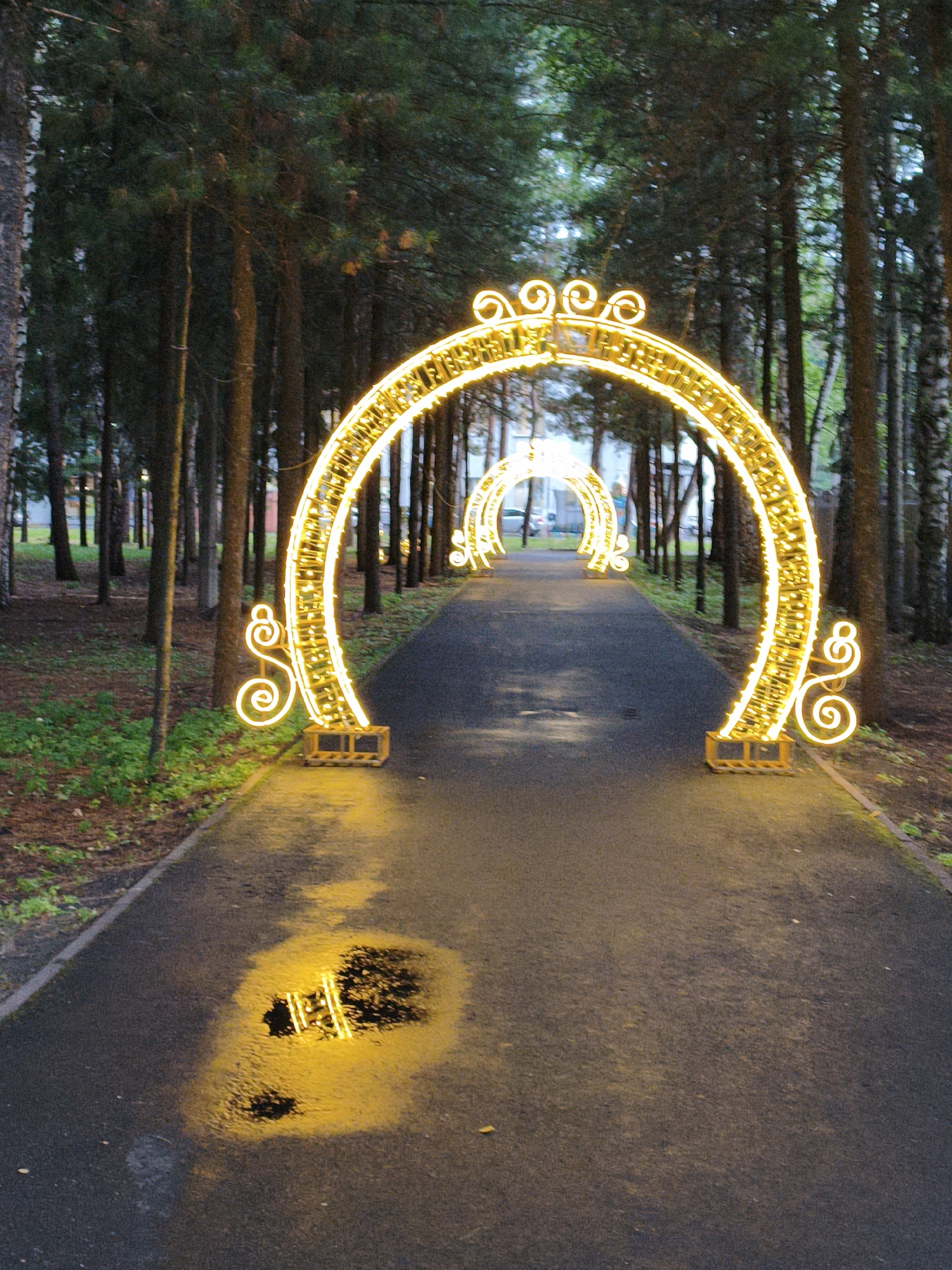 In Beryozovo, Russia, a paved pathway winds through a wooded area lined with trees. The path is adorned with illuminated arched structures, likely for festive decoration, casting a warm yellow glow. The largest arch, closest to the viewer, features ornate swirling embellishments at its base and top, and is supported by wooden structures. Several similar, though smaller, arches recede into the distance, creating a tunnel effect. The ground beside the path is covered in green grass and fallen leaves. A puddle on the asphalt reflects the light from the arches, creating a shimmering pool of yellow. The overall scene suggests an outdoor park or walkway decorated for an event or holiday.