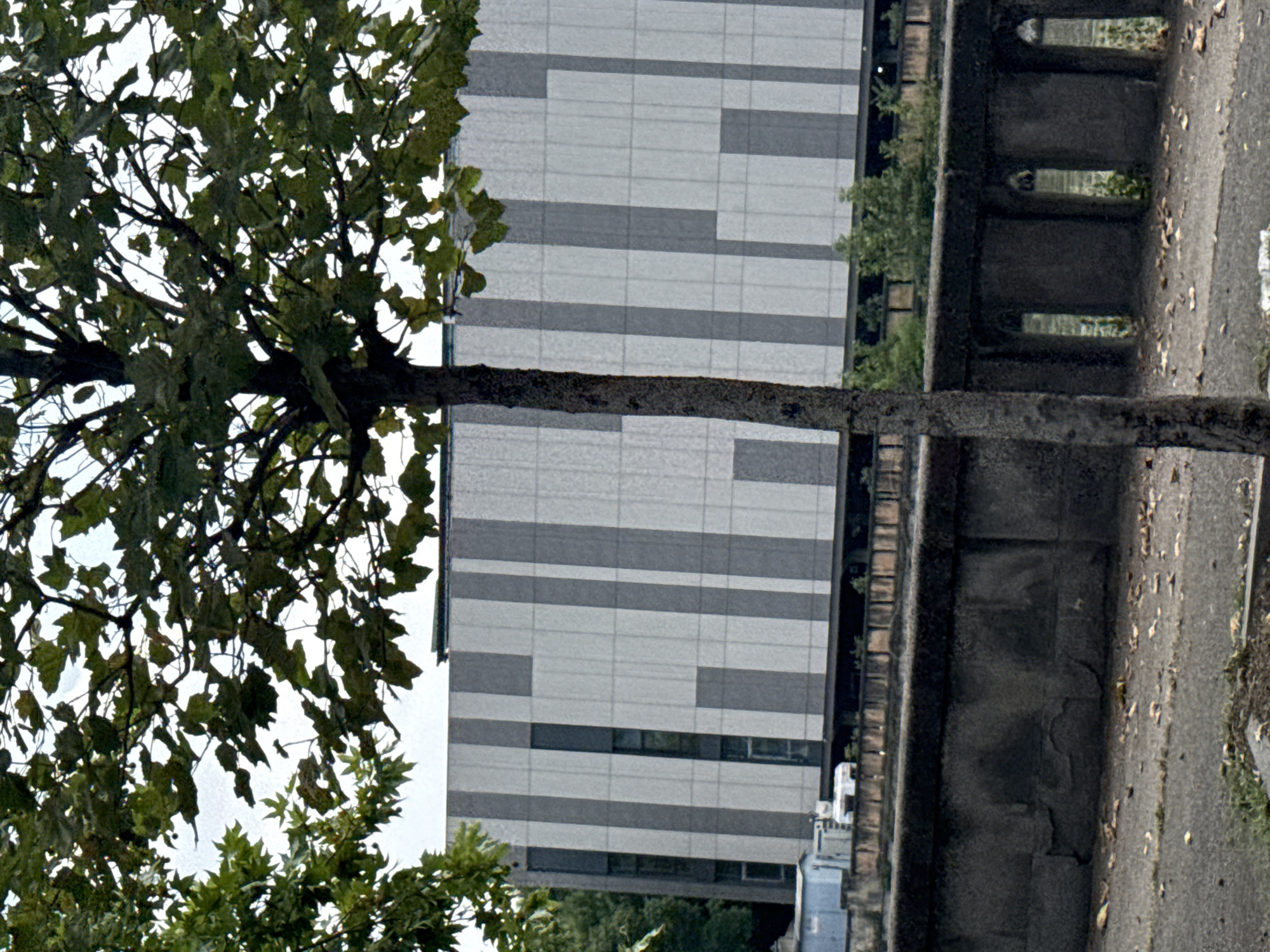 The image shows a tree in the foreground with a modern building in the background. The building has a facade with vertical gray and white panels and some recessed windows. There is a low stone wall in front of the building. The ground in the foreground is paved and there are fallen leaves. The scene appears to be outdoors, possibly in an urban environment. The image was taken in Tbilisi, Georgia.