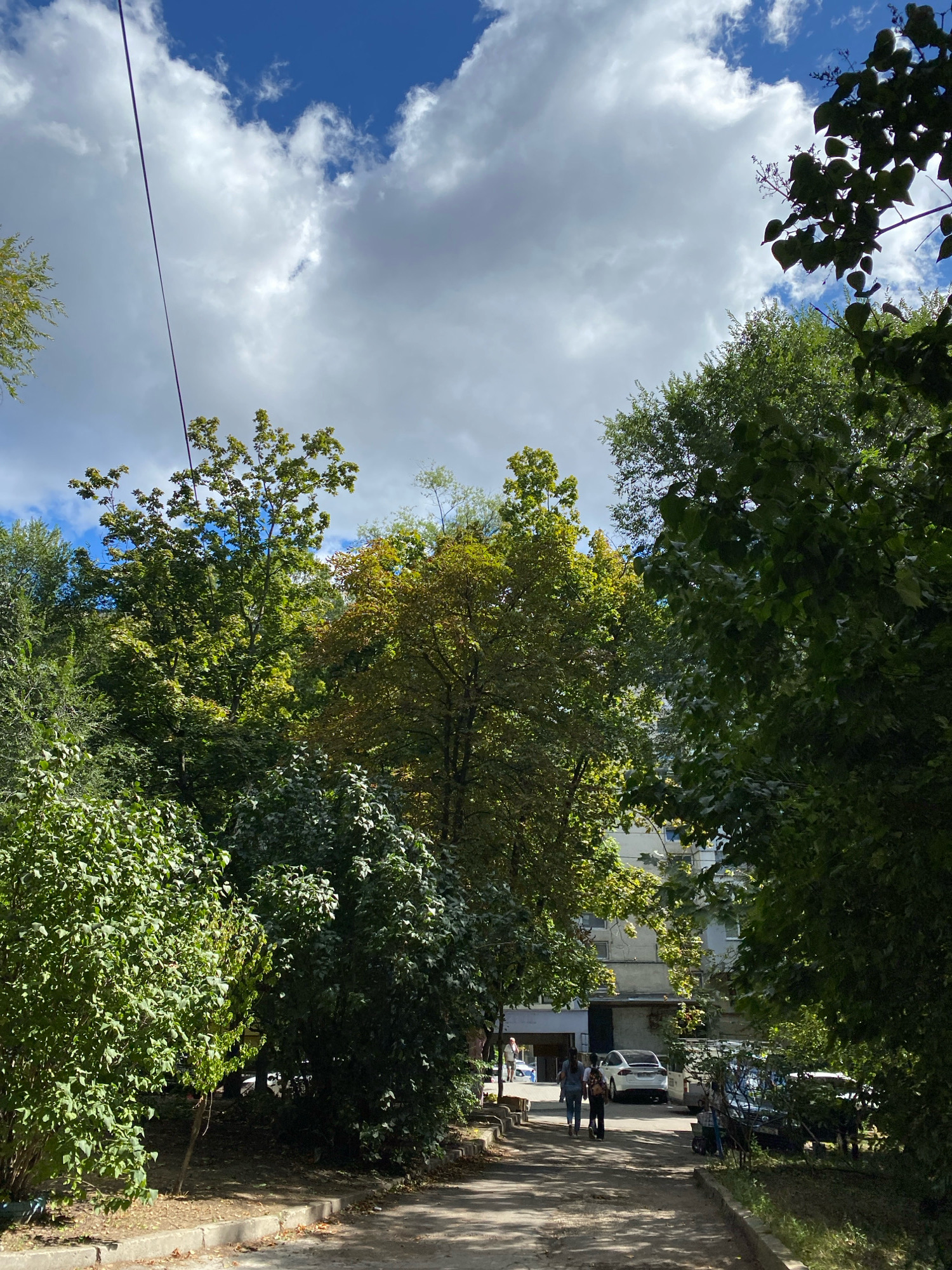 The image depicts a residential courtyard in Chișinău, Moldova, on a sunny day with scattered clouds. A paved walkway leads past dense green trees and bushes, with a multi-story apartment building visible in the background. Several vehicles, including a white Tesla, are parked in the courtyard. Two young women are walking away from the camera on the walkway, and a few other individuals are sparsely scattered in the background. The foliage suggests it is late summer or early autumn.