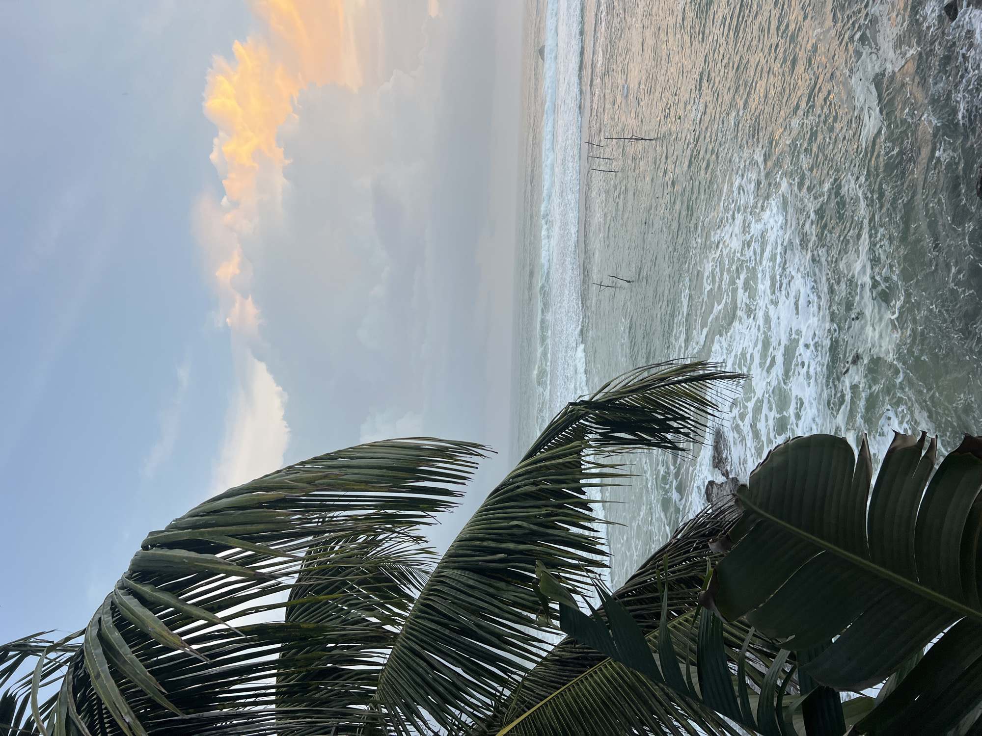 The image depicts a serene ocean view at dusk, likely in Goviyapana, Sri Lanka, as suggested by the presence of traditional stilt fishing structures. In the foreground, the broad, dark green leaves of a tropical plant, possibly a banana plant or palm fronds, partially obscure the view. The ocean stretches out towards the horizon, with moderate waves crashing against a rocky shore. White foam and churned water indicate the dynamic movement of the sea. Scattered across the water are several thin, dark wooden poles, characteristic of stilt fishing, some partially submerged by the waves. The sky above is a blend of soft blues and grays, with patches of warm, diffused light from the setting sun illuminating the edges of cumulus clouds, painting them in hues of orange and pink. The overall atmosphere is tranquil and evocative of a coastal sunset.
