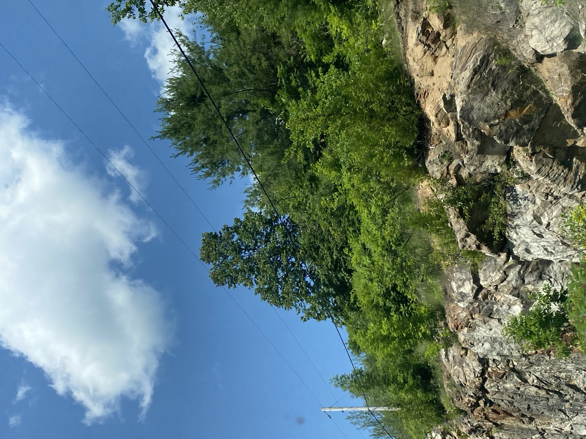 The image captures a rocky cliff face overgrown with lush green foliage under a bright blue sky dotted with fluffy white clouds. Overhead, two dark power lines stretch across the frame, supported by a utility pole visible on the left. The cliff itself is composed of large, weathered rocks in shades of grey and brown, with patches of dry earth and scattered greenery clinging to its surface. The vegetation is dense, with various trees and bushes creating a vibrant green canopy that cascades down the slope. In the distance, a larger tree with a full, rounded crown stands prominently on the hillside. The scene suggests a natural landscape likely located in or near Saint-André-Avellin, Canada, given the presence of utility lines which are common in populated or developing areas. There are no people or animals visible in the frame. The overall impression is one of a sunny day in a rural or semi-rural environment.