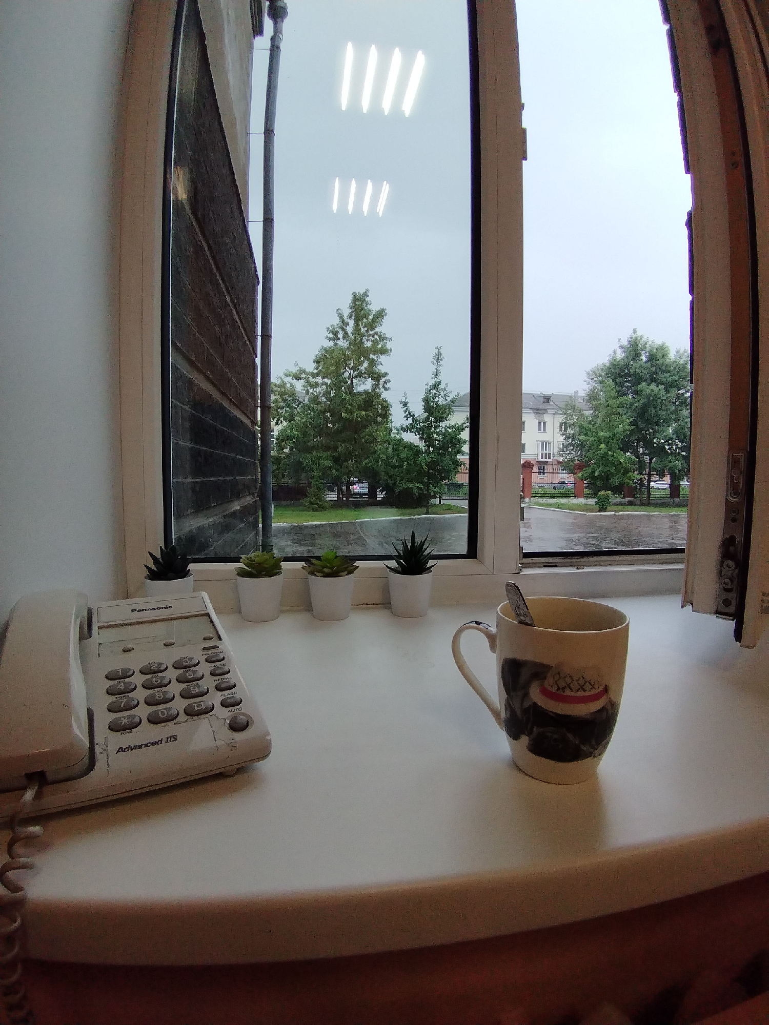 The image depicts a windowsill overlooking a residential area in Novokuznetsk, Russia, under an overcast sky, possibly indicating rain. On the windowsill, a white Panasonic corded telephone sits to the left, with a coiled cord extending downwards. To the right of the telephone are three small white planters, each containing a succulent plant. Further to the right, a ceramic mug with a depiction of a dog wearing a hat is placed, containing a spoon. Beyond the windowsill, through the open window, trees and buildings are visible, with wet pavement suggesting recent rain. The scene appears to be indoors, likely an office or apartment, given the presence of the telephone and desk setup.