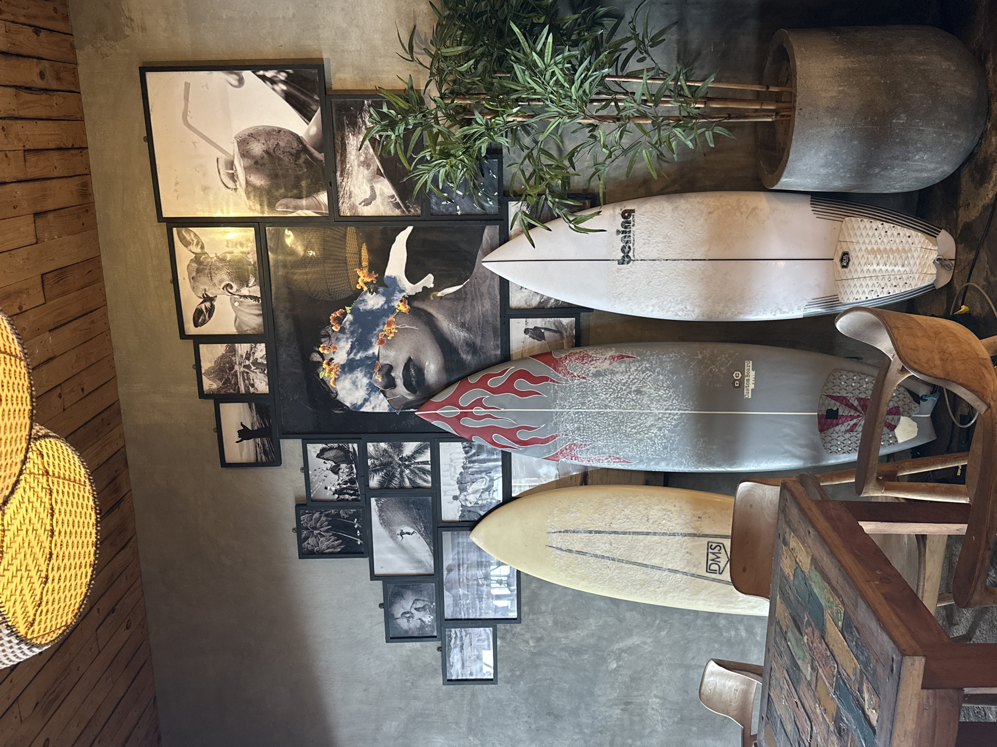 This image captures a vibrant and surf-themed interior space, likely a cafe, restaurant, or casual lounge. The setting features a rustic aesthetic with a dark gray concrete wall contrasting with a light-colored wooden plank wall on the left.
The main subjects are three surfboards displayed vertically against the concrete wall. The top surfboard is white with black text, including "benga" and "real" on its grip pad. The middle board is gray with striking red and gray flame-like graphics, and a sticker that reads "CUSTOM BOARD". The bottom surfboard is a yellowish-cream color and features the "DMS" logo. Above the surfboards, a large, dark gray concrete pot holds a tall, leafy green plant, possibly bamboo.
The concrete wall is extensively decorated with a gallery of framed black and white photographs of varying sizes, arranged in a staggered pattern. These photos include images of a coconut with a straw, a cow or calf, various surfing scenes, palm trees, and what appears to be a person making a "shaka" hand sign. A prominent, larger photo depicts a person's face adorned with flowers and leaves.
In the foreground on the right, a wooden table with a mosaic-like patterned top, composed of multi-colored wooden blocks, is visible. Several light-colored wooden chairs with curved backs are positioned around the table. On the far left, a large, circular woven light fixture made of wicker or rattan casts a warm, yellowish glow across the wooden wall.
No specific activity or event is taking place; the image shows the static decor of the space. The overall ambiance is relaxed and casual, strongly suggesting a coastal or beach-inspired location, possibly a surf town eatery. The warm interior lighting implies it could be any time of day, but the setting is clearly indoors.