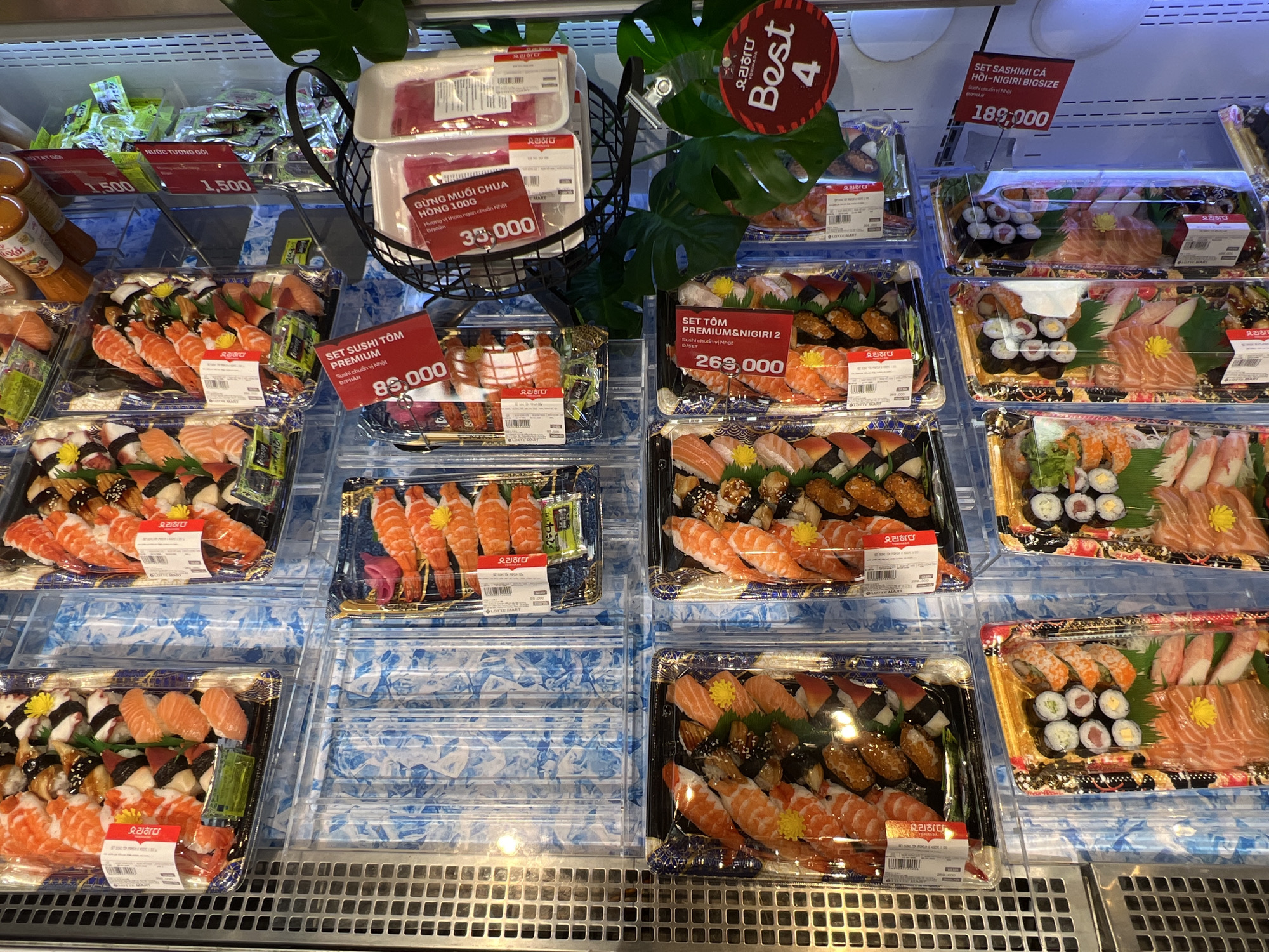 The image shows a refrigerated display case filled with various sushi sets for sale in a supermarket. The sushi sets contain combinations of sushi rolls, nigiri, and sashimi, featuring salmon and shrimp. Prices are displayed on red tags. From left to right and top to bottom, the prices shown are 1,500, 1,500, 35,000, 83,000, 263,000, and 189,000.
Other items in the display case are packets of soy sauce and pickled ginger. A green plant is used for decoration. A "Best 4" sign is displayed. The supermarket appears to be a branch of Lotte Mart. Given the writing on the price tags, the supermarket is located in Vietnam. The label "D/PHAN" on the price tags suggest that the store is in the city of Đà Nẵng, Vietnam. The display case has a blue and white patterned lining. The display case appears to be at Lotte Mart Đà Nẵng.