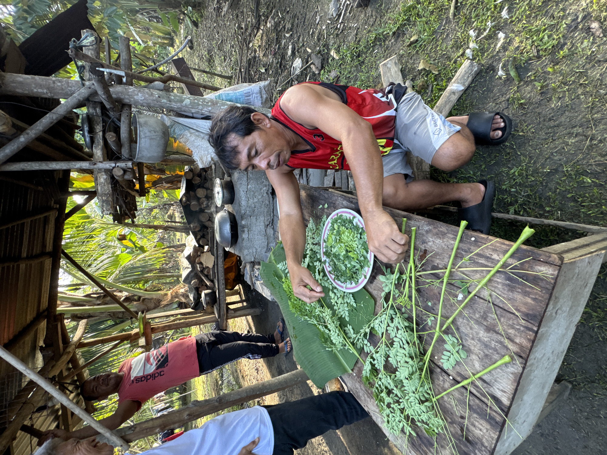 This image, captured in the City of Carmen, Philippines, depicts an outdoor, rustic food preparation and communal area. An adult male, positioned centrally and to the right, is seated on a low wooden bench. He wears a red and black sleeveless jersey (with "CARAGA" visible) and grey shorts, actively engaged in picking small green leaves from branches and placing them onto a white plate and a large banana leaf laid out on a weathered wooden table.
To the left, an adult male in a red t-shirt with an "adidas" logo and black pants leans against a wooden support post, observing the scene with a slight smile. Partially visible on the far left is a third adult male in a white t-shirt and dark pants.
The background reveals a makeshift outdoor cooking area constructed from wood and corrugated metal, supporting various cooking pots, including one large metal pot hanging from the structure and others resting on a stone base alongside a stack of firewood. The immediate ground is uneven earth with sparse green grass, and white fragments, possibly feathers, are scattered near the seated man's feet. Lush, dense tropical foliage, including banana plants, surrounds the area, indicating a verdant, rural environment bathed in natural light.