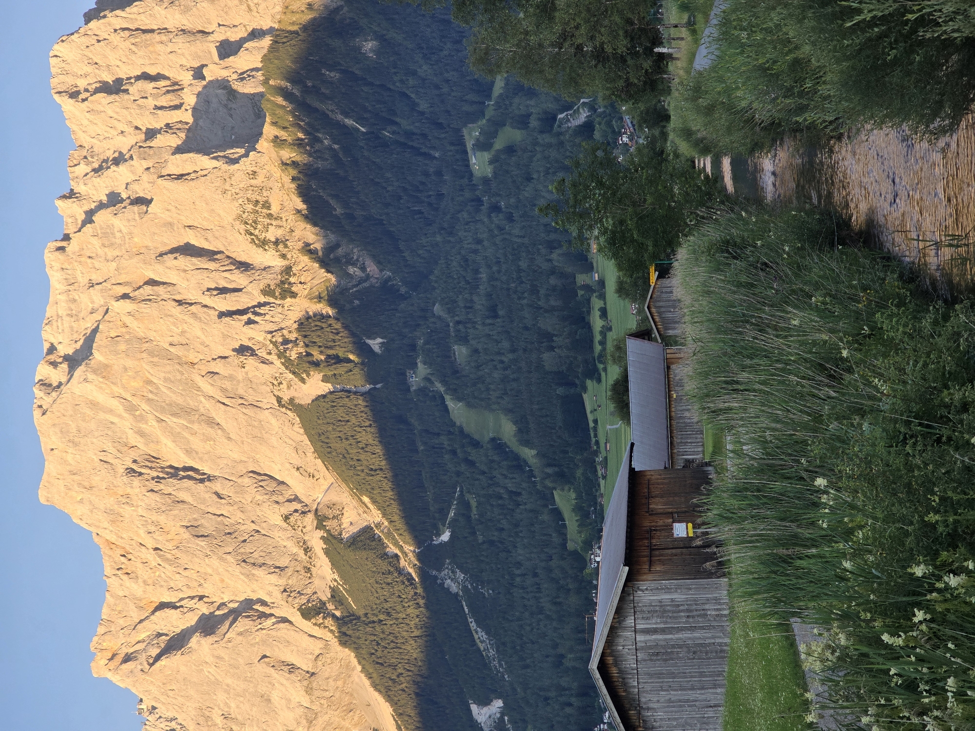 The image depicts a scenic mountain landscape in Ehrwald, Austria. In the foreground, two wooden sheds with dark, sloped roofs are visible, situated on a grassy area. Tall reeds and other green vegetation flank a narrow, shallow stream that flows away from the viewer. Beyond the sheds and vegetation, a densely forested mountain slope rises, with ski slopes and cable car lines faintly visible amidst the trees. The background is dominated by a massive, sun-drenched mountain range, its rocky face illuminated by the warm, golden light of what appears to be late afternoon or early morning sun. The sky is a clear, pale blue. There are no people or animals present in the scene.