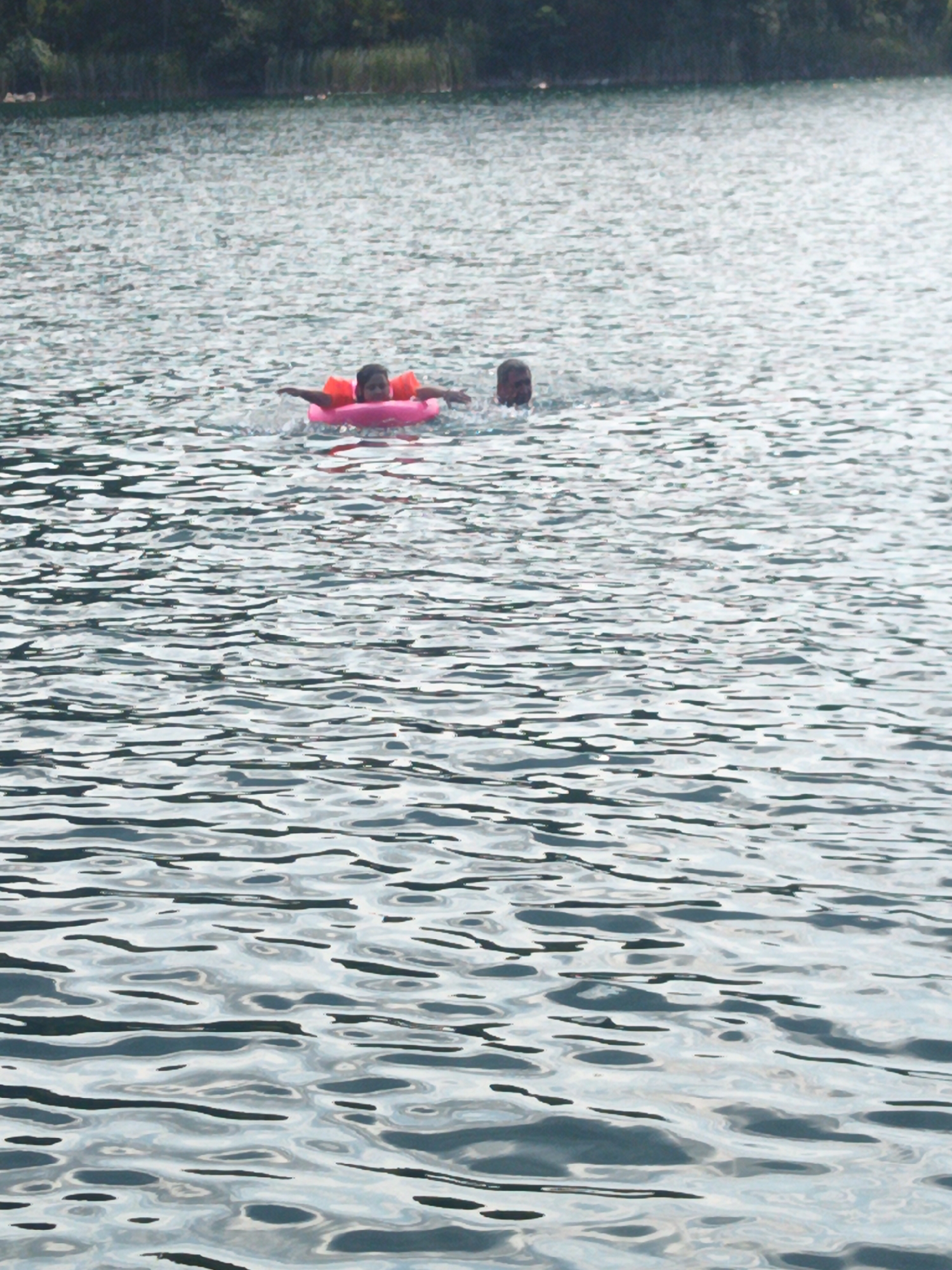 Two individuals are swimming in a body of water. One person is inside a pink inflatable ring, with their arms extended. The other person is to the right, partially submerged in the water. The background shows a shoreline with trees. The image depicts a leisure activity in a natural environment.