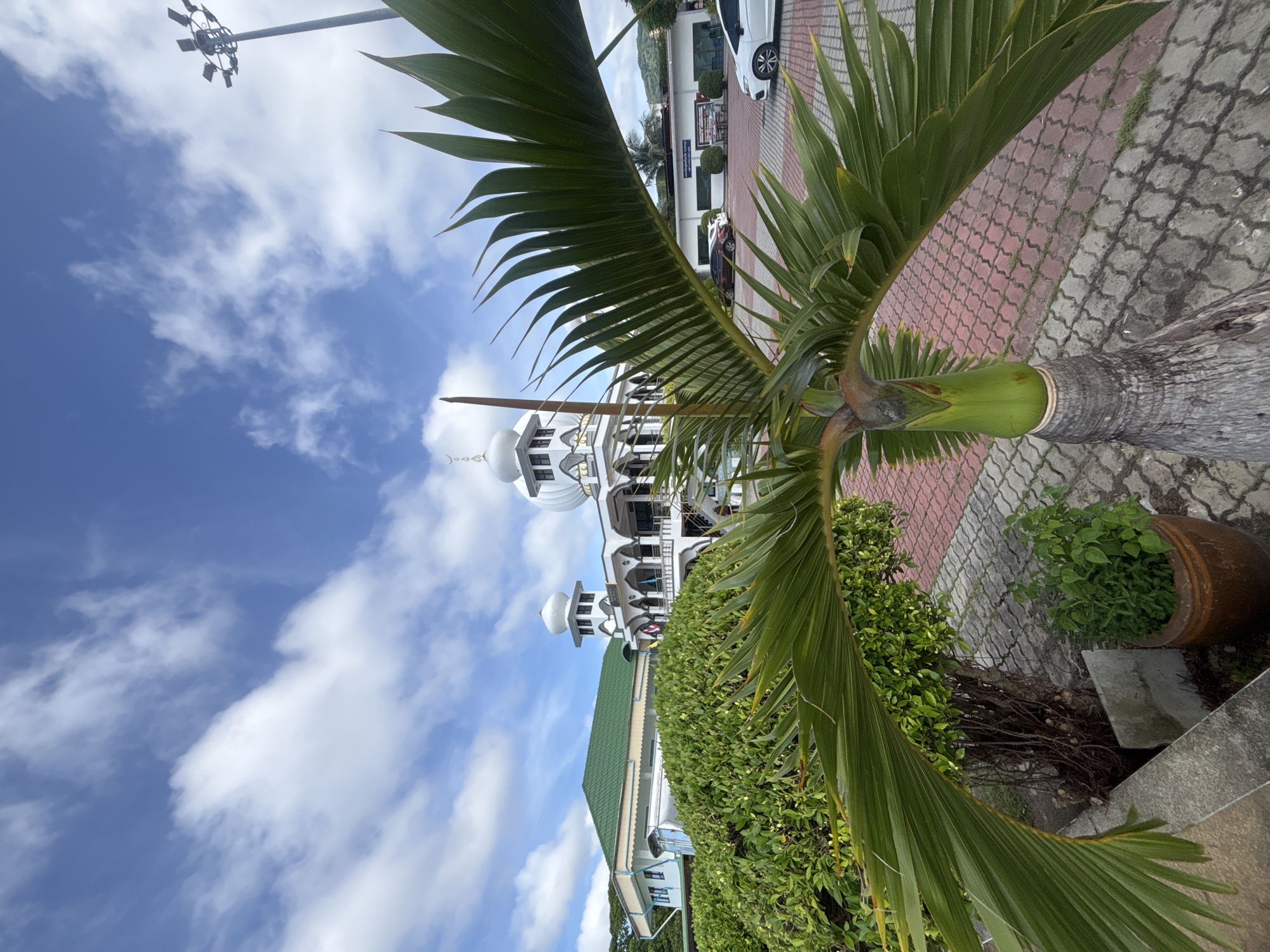 This image captures a view of a mosque in Rawai, Thailand, with a prominent palm frond in the foreground. The mosque is white with a prominent dome and minaret, and an adjacent building has a green tiled roof. The area in front of the mosque appears to be a paved courtyard with red and grey interlocking bricks. Several cars are parked in the courtyard. The sky is blue with scattered white clouds. The palm frond, a large green leaf from a palm tree, is positioned in the lower right and extends across the middle of the frame, partially obscuring the mosque. The overall scene suggests a sunny day in a tropical location.