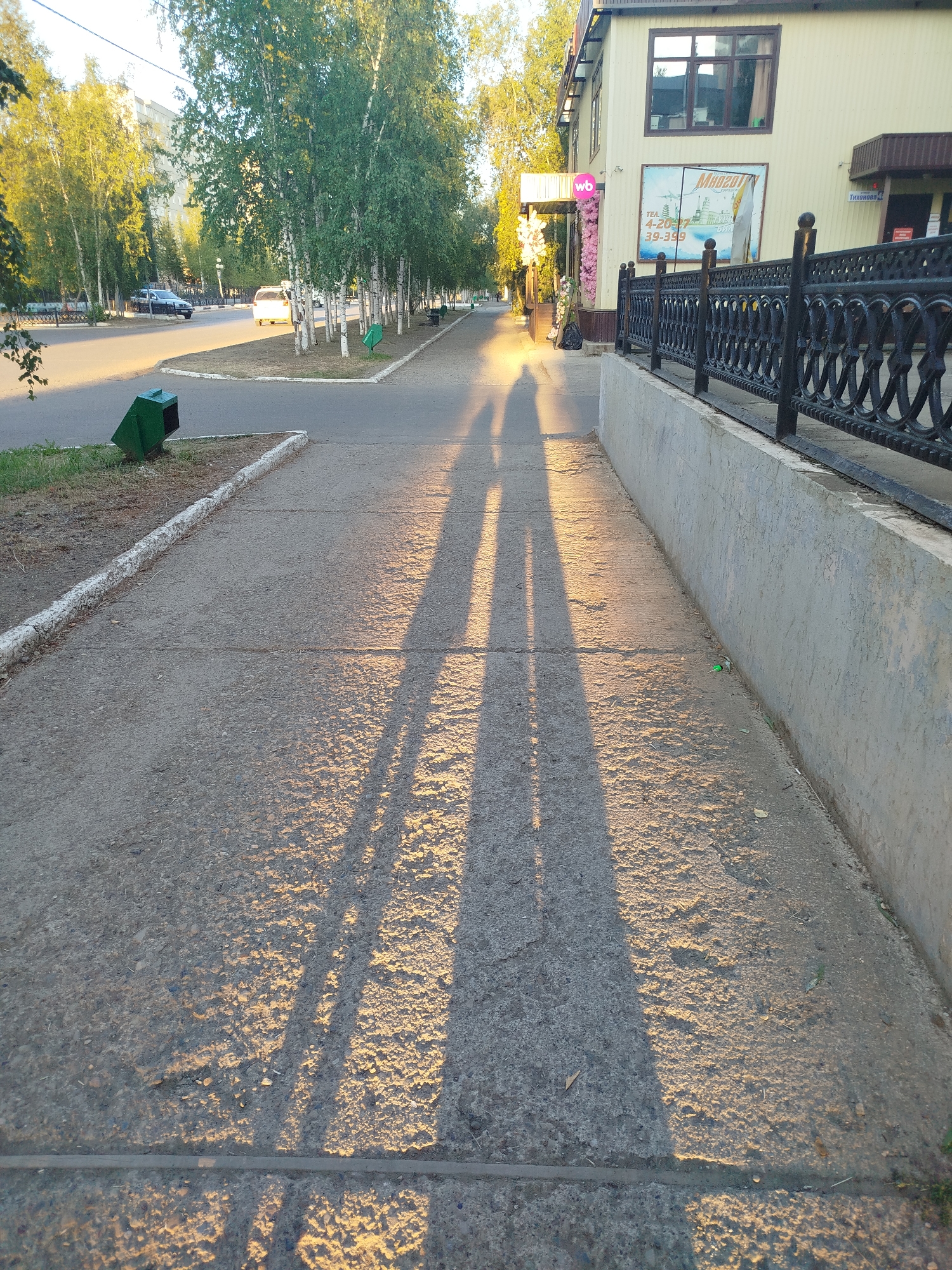 The image depicts a sidewalk in the city of Mirny, Russia, during sunset. Two elongated shadows of people stretch across the concrete pathway, indicating they are walking away from the camera. The warm light of the setting sun casts long shadows, highlighting the texture of the pavement.
To the left of the sidewalk, a street is visible with a few cars, one white and one dark-colored. Trees line the edge of the street, their leaves illuminated by the golden hour light. A green trash can is positioned on the grass bordering the sidewalk.
On the right side of the sidewalk, a building with a light-colored facade stands. A black wrought-iron fence runs along the edge of the sidewalk, separating it from a low concrete wall. The building has windows, signage, and an entrance, suggesting it houses businesses. The overall environment appears to be an urban setting in the late afternoon or early evening.