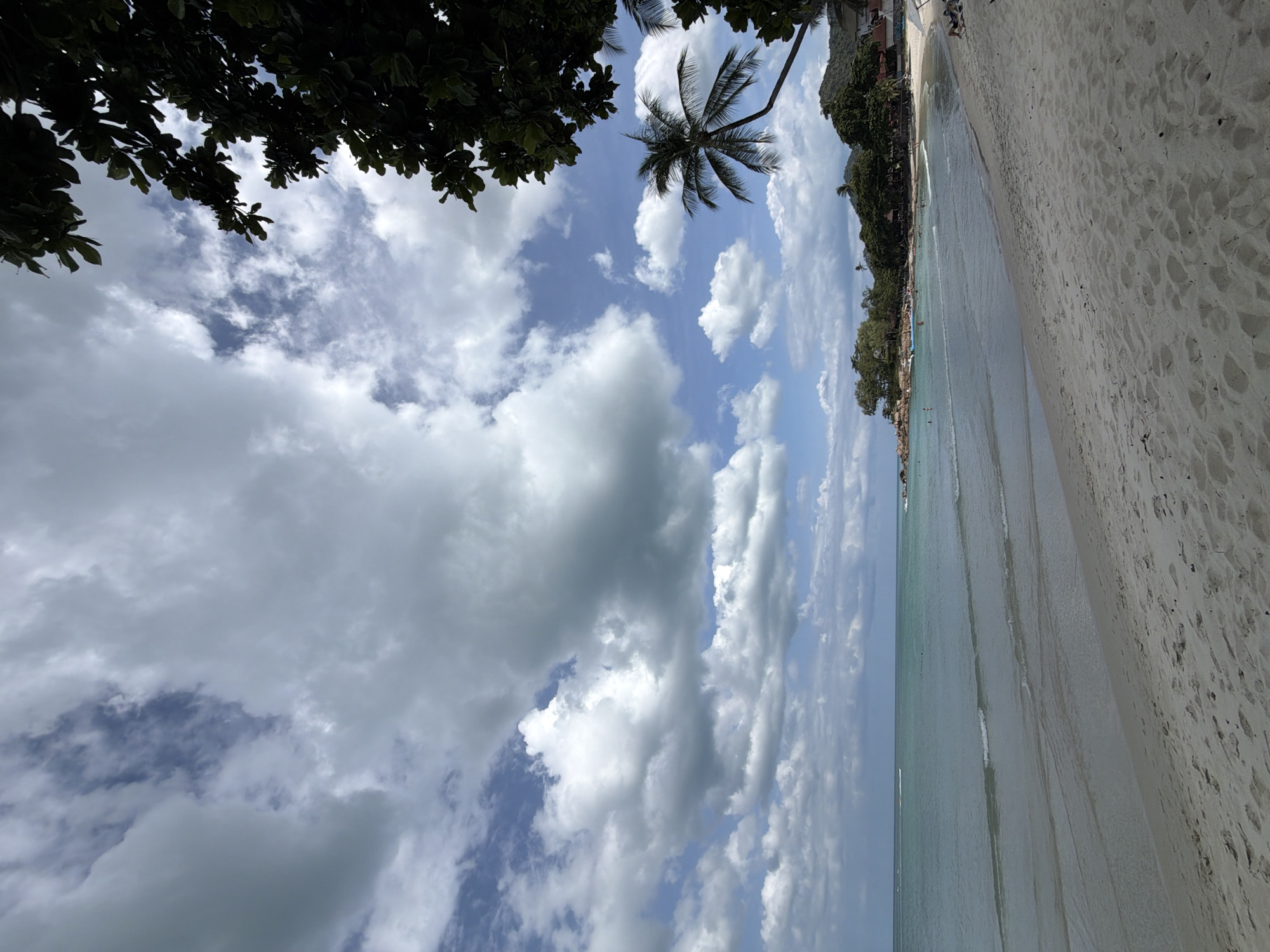 The image depicts a tropical beach scene on the island of Ko Samui, Thailand. The foreground is dominated by a sandy beach with tire tracks visible in the sand. Gentle waves lap at the shore, and the water transitions from a pale turquoise near the beach to a deeper blue further out. In the distance, a line of palm trees and lush green vegetation runs along the coastline, with some buildings nestled among the trees. A solitary palm tree leans out over the water on the right side of the frame. The sky is a mix of blue patches and dramatic, puffy white clouds. A few people are scattered along the beach and in the water, some appearing to be sunbathing or swimming. The overall impression is one of a serene and idyllic tropical getaway.