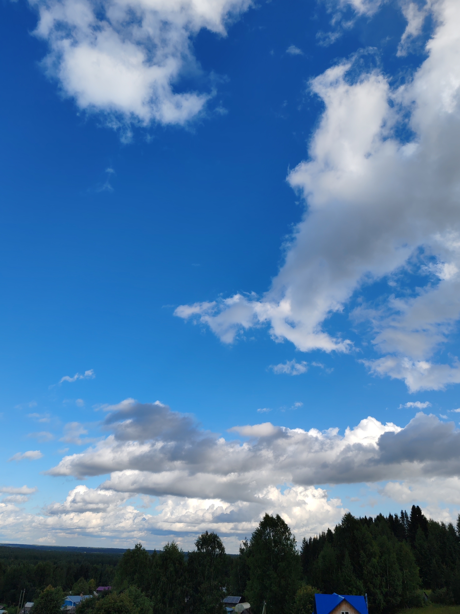 The image depicts a landscape under a partly cloudy blue sky. In the foreground, a dense line of dark green coniferous and deciduous trees stretches across the middle ground, with some taller trees in the foreground. A small village is visible nestled amongst the trees, with glimpses of houses with colorful roofs, including one with a bright blue roof. In the distance, the landscape appears flat, with more trees and the horizon meeting the sky. The sky itself is a vibrant blue, punctuated by scattered white and gray cumulus clouds. The scene suggests a rural setting in Чухлэм, Russia, characterized by a natural environment with scattered human settlements. There are no people or animals visible in the image.