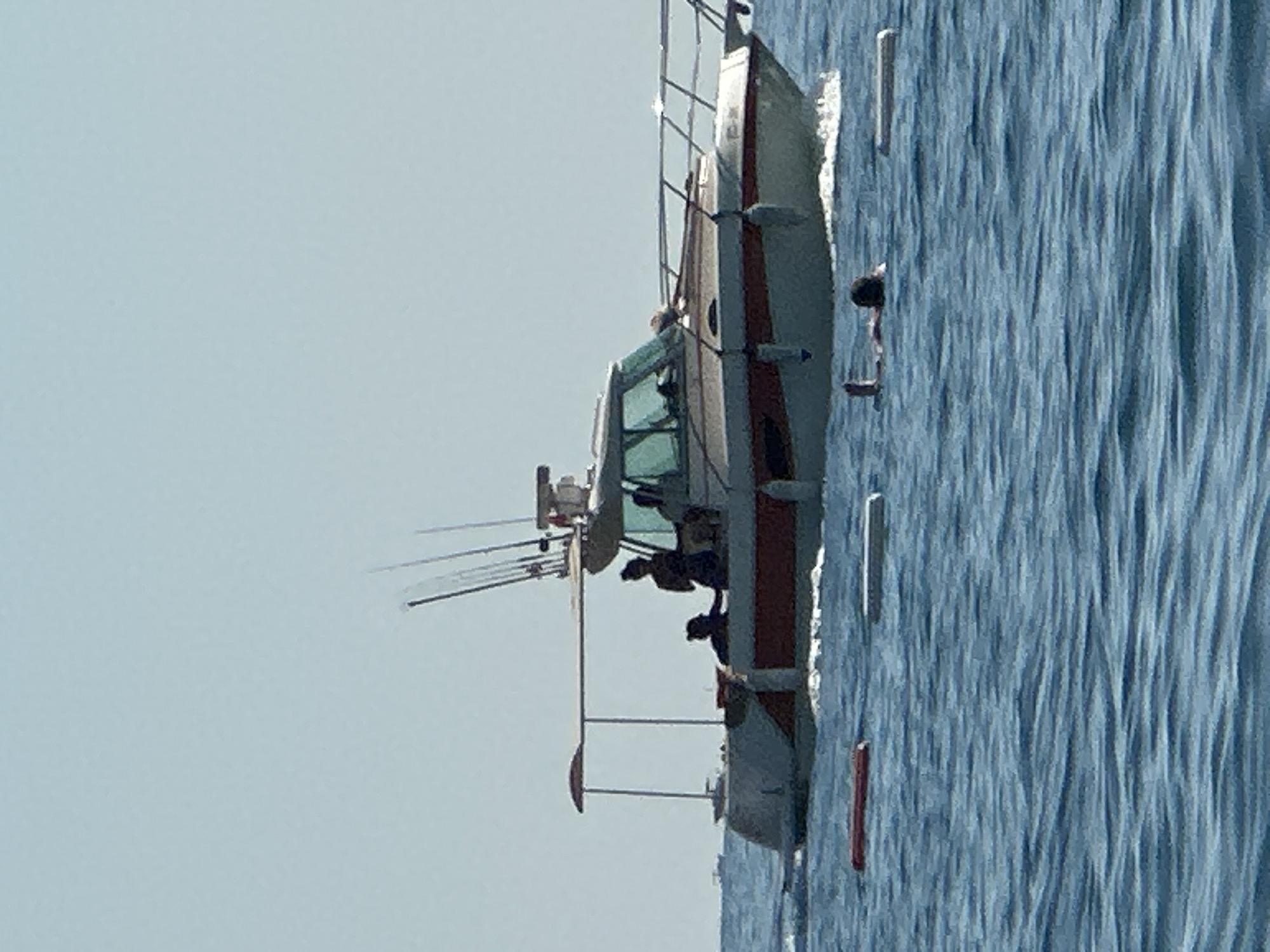In the city of Boreti, Montenegro, a motorboat with several people onboard navigates the clear blue water. The boat, predominantly white with a red stripe along its hull, features fishing rods mounted vertically at the stern. Silhouettes of individuals are visible on the deck, suggesting they are passengers or crew. In the foreground, two buoys, one red and one gray, float on the surface of the water. One person is partially submerged in the water in the lower right quadrant of the image, their head and arms visible. The sky is a pale, clear blue, and the water is calm with small waves. In the far distance, another boat is visible on the horizon.