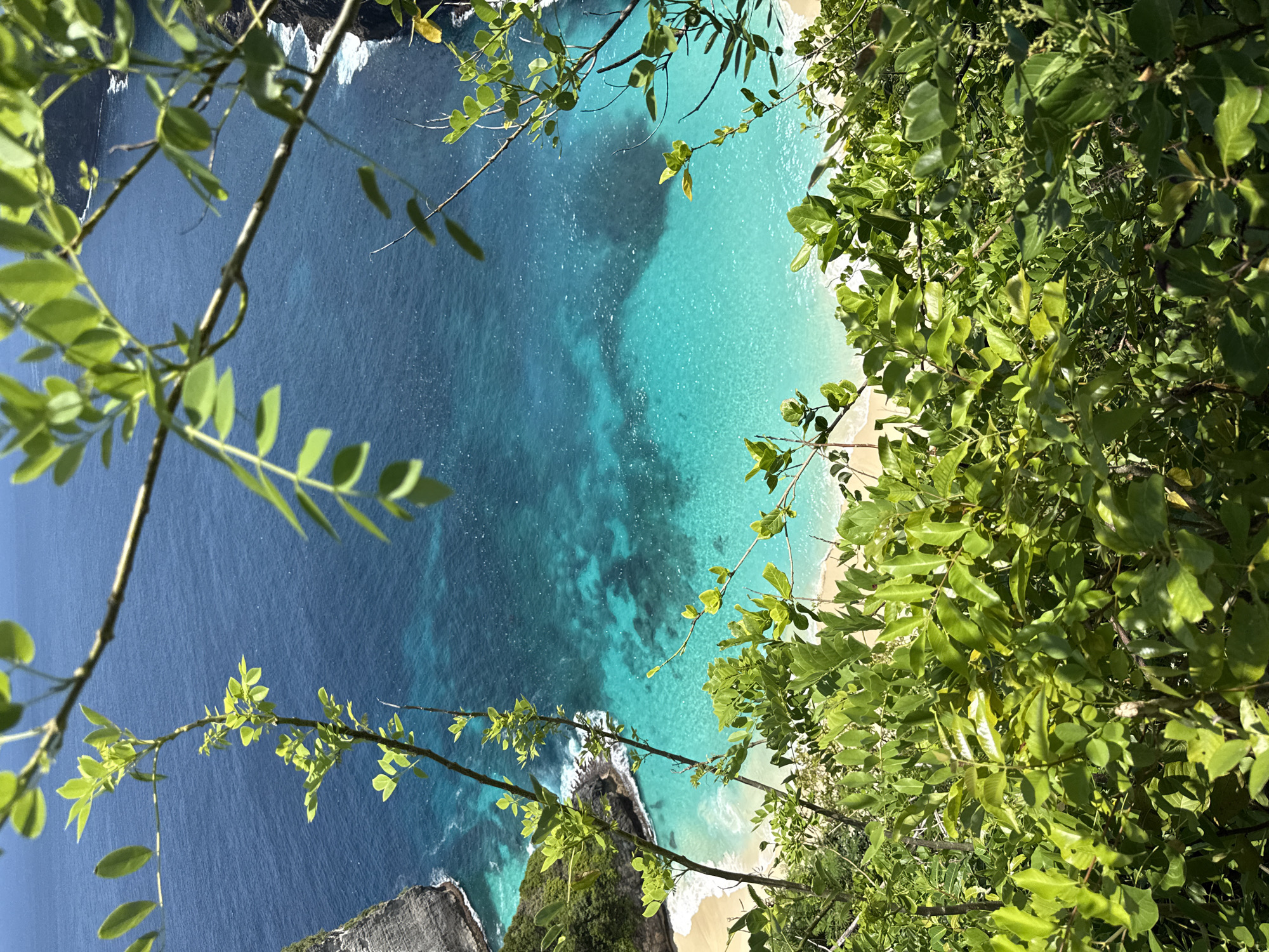 An overhead view from a cliffside, partially obscured by foliage on the left and right, reveals a sandy beach and turquoise waters. The dark blue of the deeper ocean contrasts with the light aqua of the shallows near the shore. The location is Bunga Mekar, Indonesia. No people are visible.