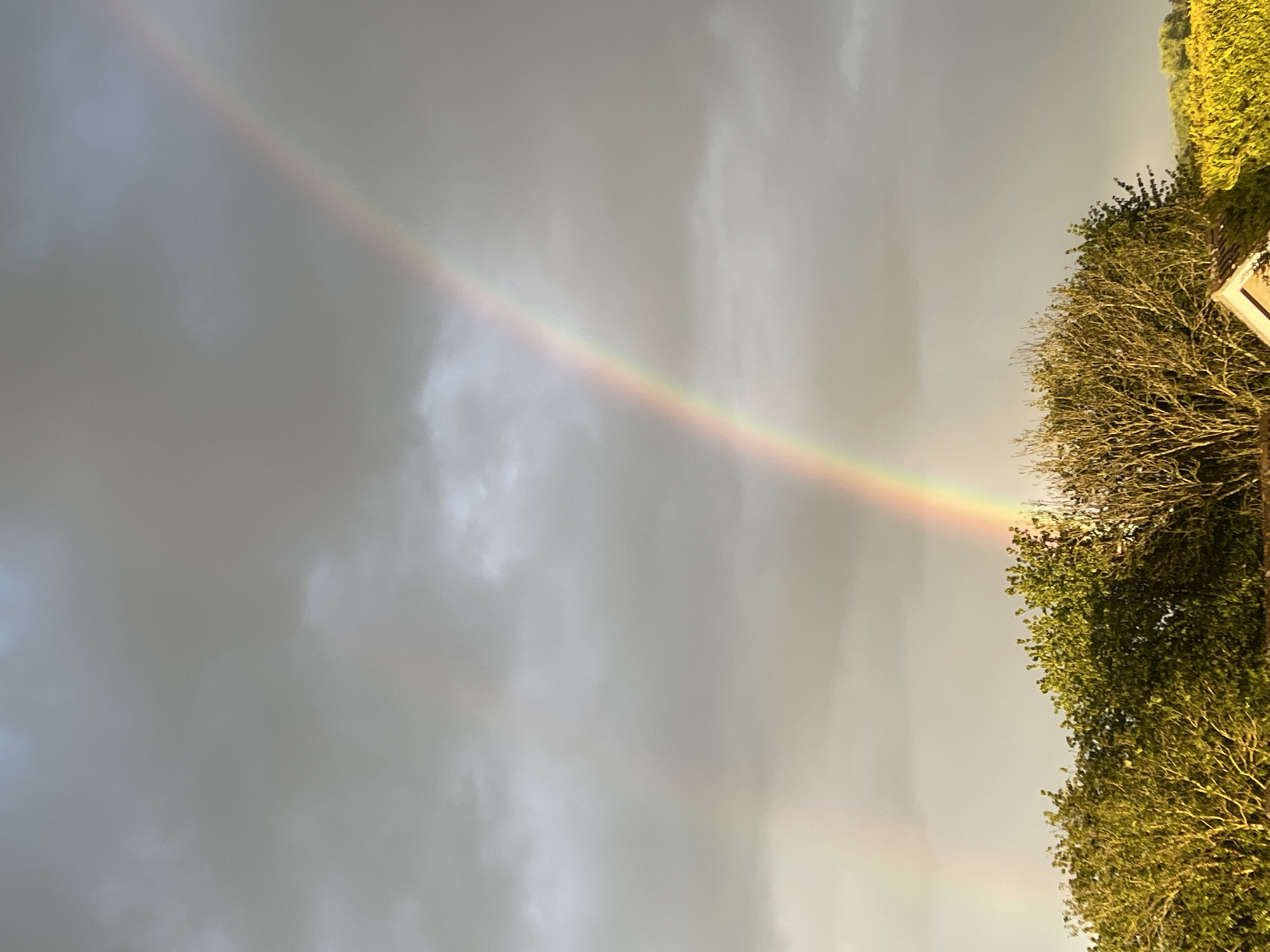 The image depicts a segment of a rainbow appearing to end in a copse of trees. The sky is overcast with grey clouds. The trees are a mixture of green and brown, suggesting either late summer or early autumn foliage. A segment of a light-colored building or structure is visible behind the trees. The rainbow exhibits the typical color spectrum, with red visible towards the top and violet/blue towards the bottom. There is no identifiable location in Maidstone, United Kingdom, that can be ascertained solely from the image. No people are visible.