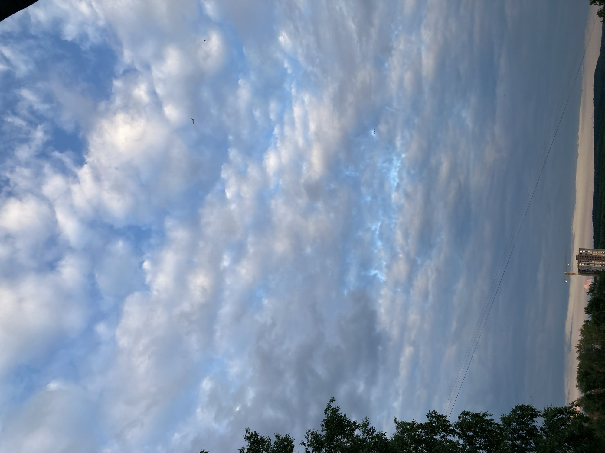 An outdoor, eye-level shot captures a vast sky filled with a mix of white and gray clouds, with patches of blue sky visible. A few birds are seen flying in the distance. In the lower portion of the image, a silhouette of trees forms a dark line along the horizon. A tall building with lights on is visible behind the trees, as well as a construction crane. Power lines are strung across the frame. The lighting suggests it is either sunrise or sunset. The scene appears to be from Chaikovsky, Russia.
