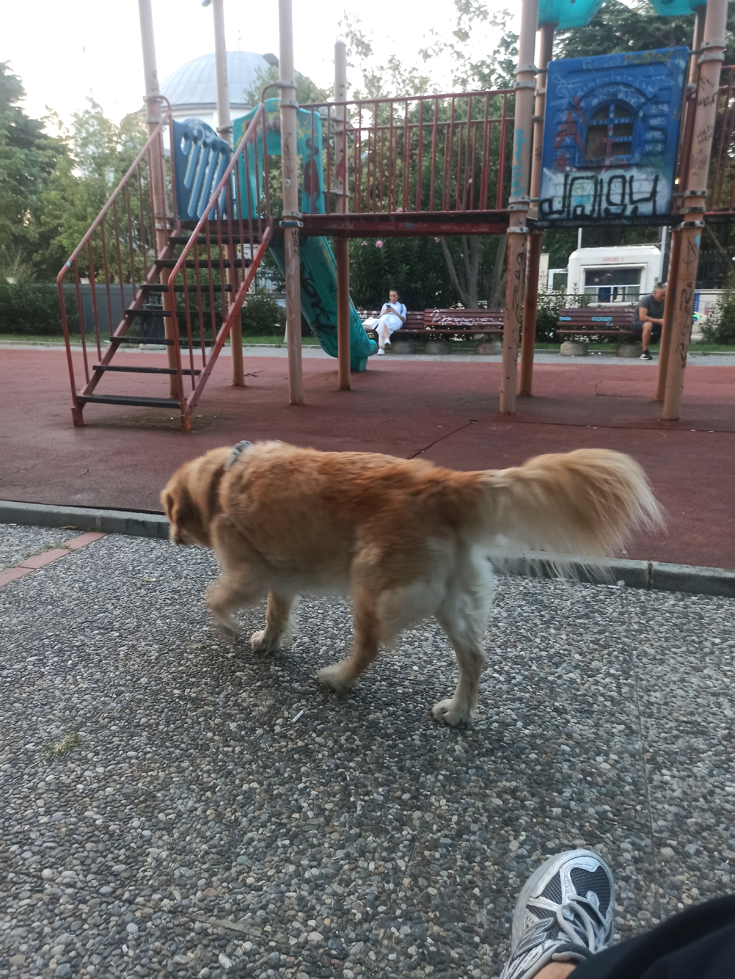The image depicts a playground in Kadıköy, Turkey, with a golden retriever in the foreground. The dog is walking on a gravel path in front of a red rubberized surface. Behind the dog, a playground structure with slides and stairs is visible. Two individuals are seated on benches in the background, one a woman in a white outfit and the other a man in a dark shirt. The playground is surrounded by trees and vegetation. The overall impression is that of a public park setting.
