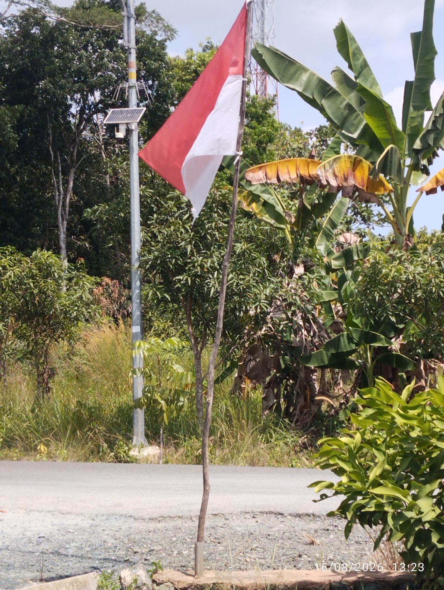 An outdoor, eye-level, medium shot captures a red and white flag on a slender pole in the foreground, situated in a tropical environment. The flag, positioned slightly off-center to the right, is partially unfurled, revealing its two distinct horizontal bands. Behind the flag, a tall, slender metal pole with a solar panel and a small antenna is visible, likely part of a communication tower or monitoring station. The background is dominated by lush green vegetation, including large banana leaves and dense trees. A light gray asphalt road runs horizontally across the lower half of the image. The scene suggests a rural or semi-urban setting, possibly in Sukamaju, Indonesia, given the tropical flora. The sky is partially obscured by the foliage, but appears to be a pale blue with some clouds. The date stamp "16/08/2026 13:23" is visible in the lower right corner, indicating the time and date the photograph was taken. There are no people or animals visible in the image.