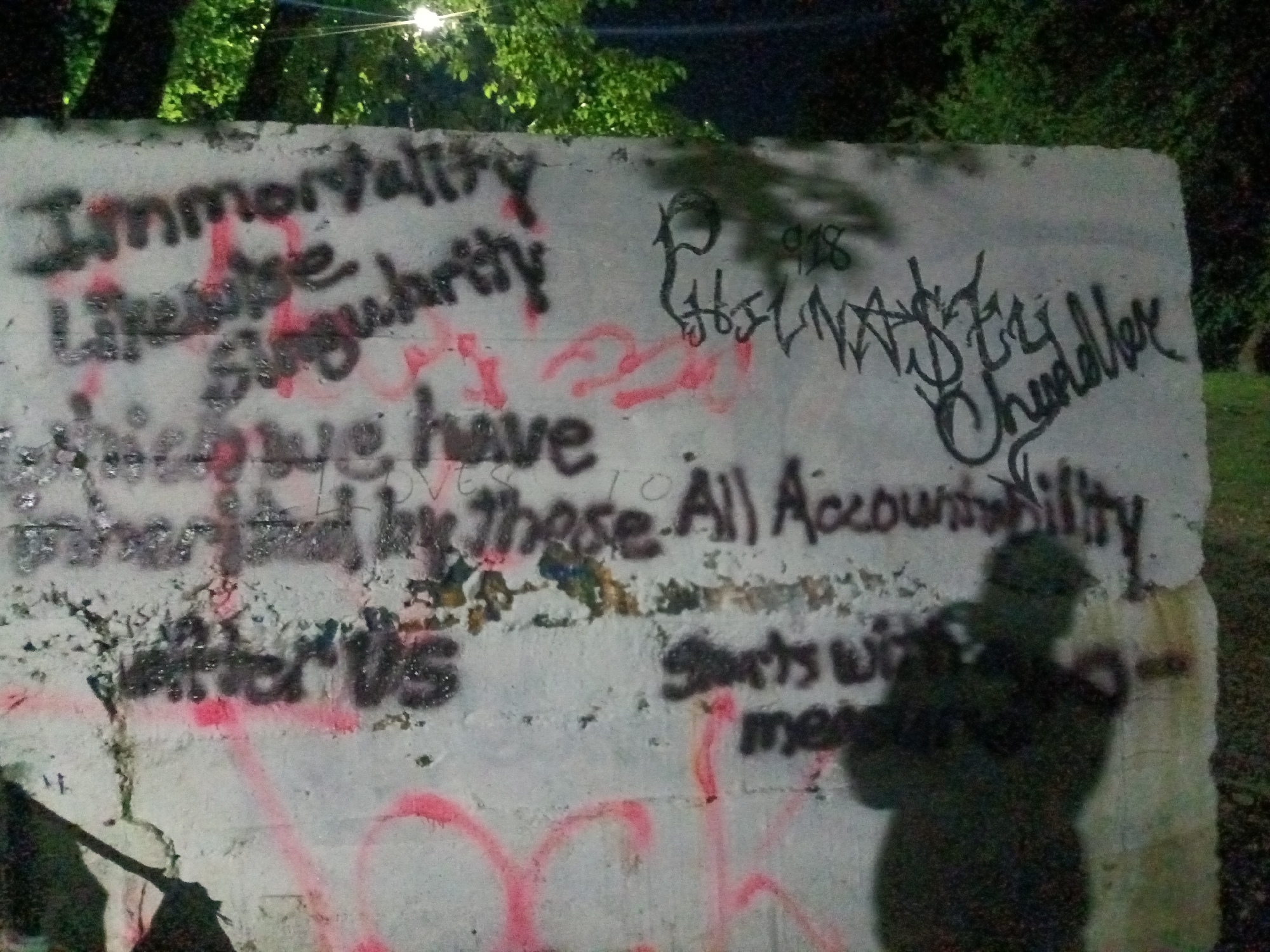An outdoor scene at night or dusk features a prominent concrete wall covered in graffiti. Lush green foliage, likely trees or bushes, is visible in the upper background, illuminated by an unseen light source in the top left. A faint, dark shadow of a person, presumably the photographer, is cast on the lower right portion of the wall.
The wall is extensively covered with spray-painted text and symbols in black and red. On the left side, several lines of black text are visible, including "Immortality", "Life expectancy", "Singularity", "these we have", "inherited", and "murdered by these", followed by "that matter US" near the bottom. These phrases are interspersed with red spray paint that is mostly abstract marks but also underlines some words.
On the right side, there is a distinct tag "P 918" and a stylized signature "NASTY Chandler". Below this, in black spray paint, are the phrases "All Accountability" and "Starts with me", though the word "me" is largely obscured by the human shadow. The overall impression is one of a public space used for layered, expressive, and possibly political or philosophical statements through graffiti.