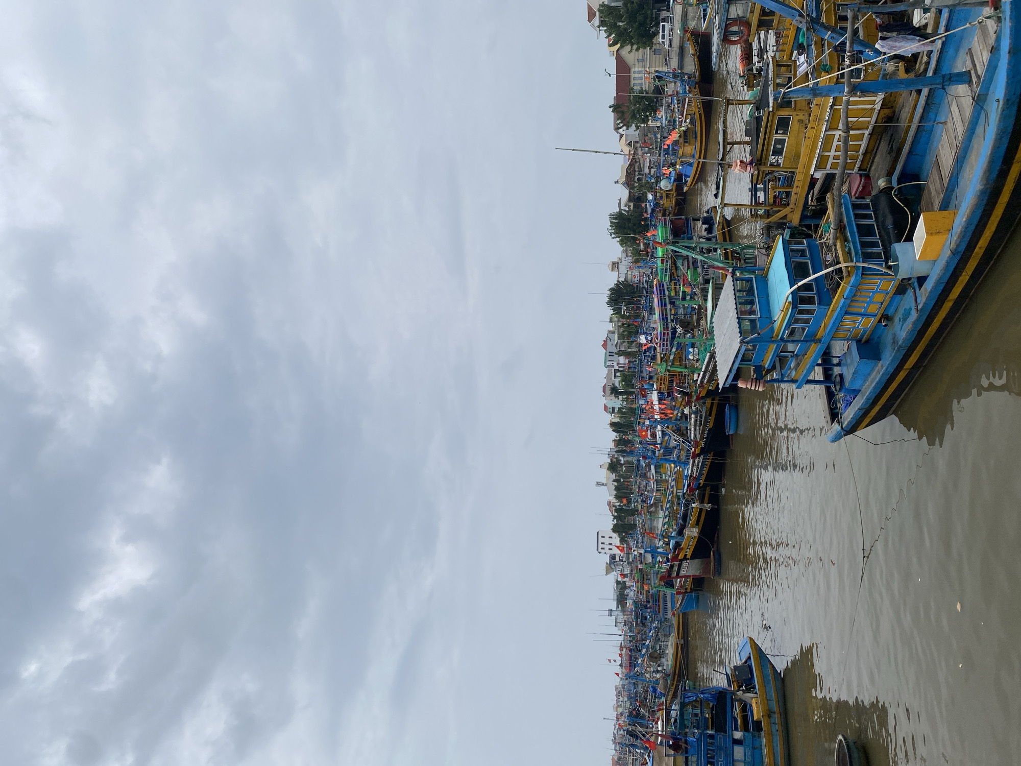 In Phan Thiết, Vietnam, a dense collection of vibrant fishing boats fills the harbor under an overcast sky. The boats, predominantly painted in bright blues and yellows, are moored closely together, creating a bustling maritime scene. Many of the vessels are adorned with red and yellow flags, adding to the lively visual tapestry. In the background, a low-rise cityscape with buildings of various colors, including white and ochre, stretches along the coastline, interspersed with lush green trees. The water is a murky brown, reflecting the cloudy sky and the colorful hulls of the boats. The scene appears to be a typical day in a busy fishing port, with an abundance of boats ready for or returning from sea.