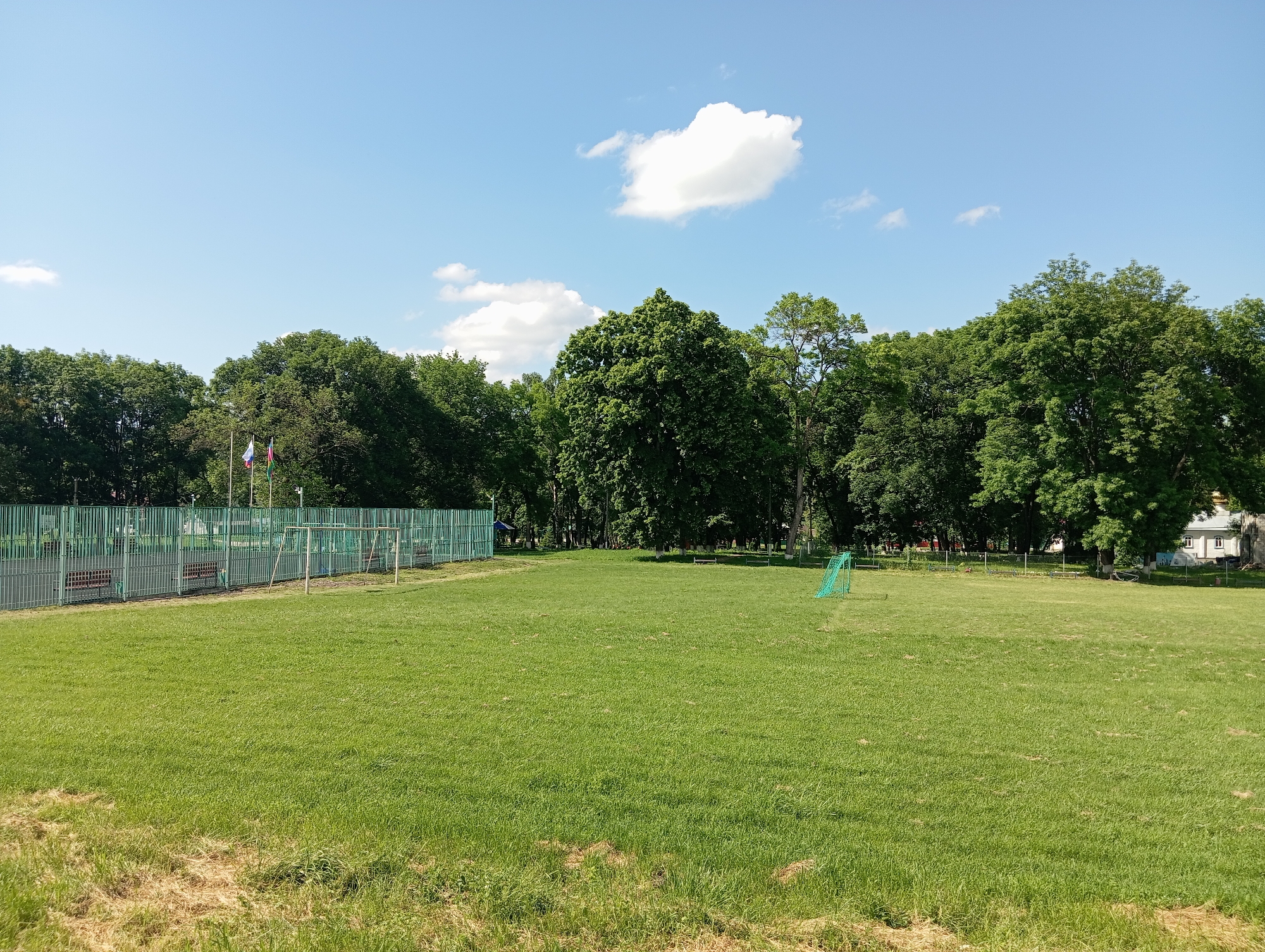 The image depicts a sunny day in a park or open field in Peredovaya, Russia. The foreground is dominated by a well-maintained green lawn with some patches of dry grass near the bottom. In the midground, a green metal fence encloses a sports area, which includes what appears to be a basketball court and some benches. Beyond the fence, several flagpoles are visible with flags, though the details are obscured by distance. A small green soccer goal is positioned on the lawn to the right of the fenced area. The background features a dense line of lush green trees, with a white building partially visible through the trees on the far right. The sky is a bright blue with a few scattered white clouds. There are no people visible in the image.