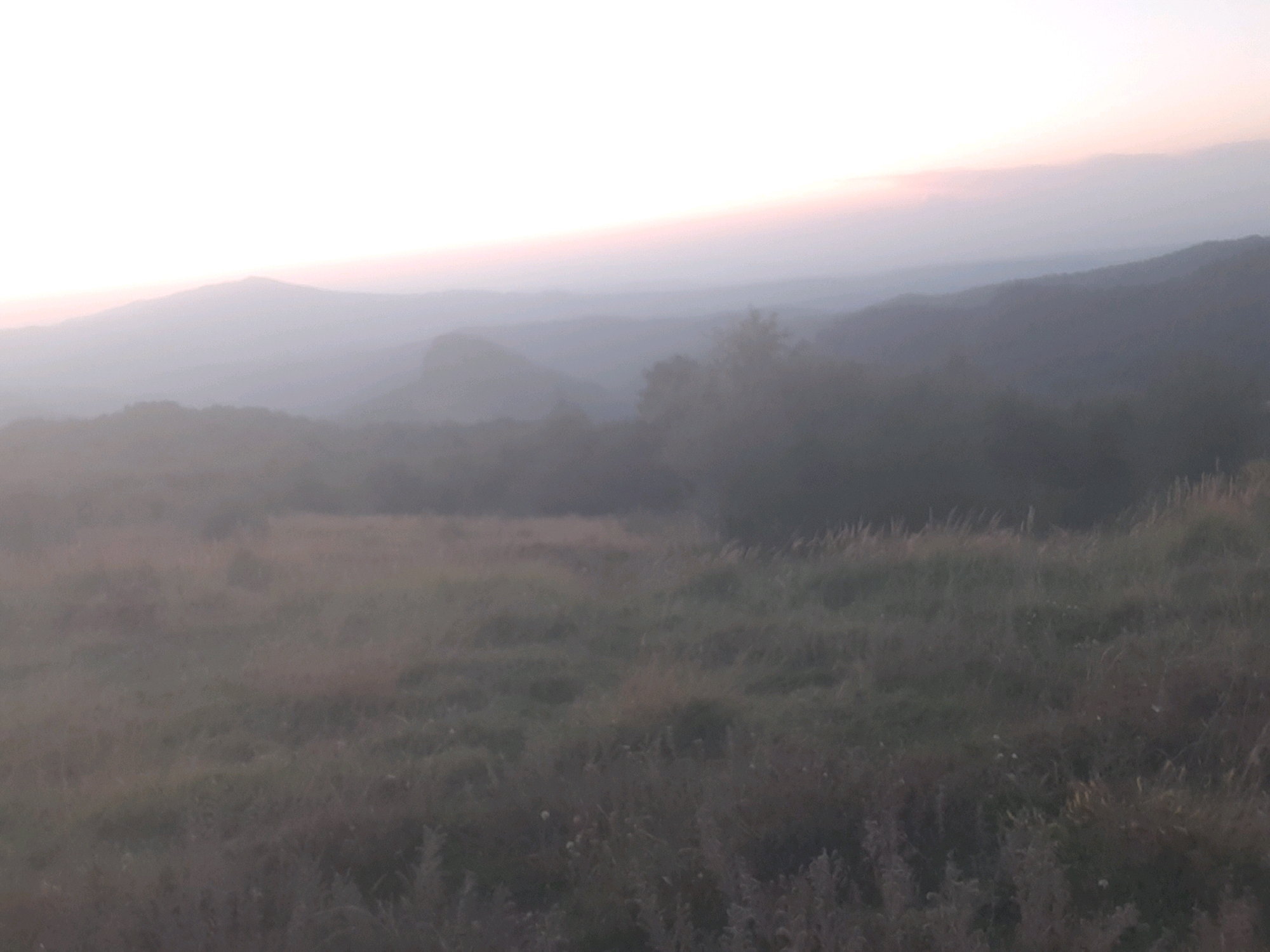 A misty, muted landscape unfolds with layers of hazy hills receding into the distance. The sky above is a pale, washed-out white with a faint pinkish hue near the horizon, suggesting either dawn or dusk. In the foreground, a field of dry, tall grass stretches across the frame, its texture softened by the diffused light. The overall impression is one of a quiet, atmospheric, and somewhat tranquil natural setting. The image depicts a rural vista, likely in a mountainous or hilly region. There are no discernable people, structures, or any signs of human activity. The environment is exclusively natural.