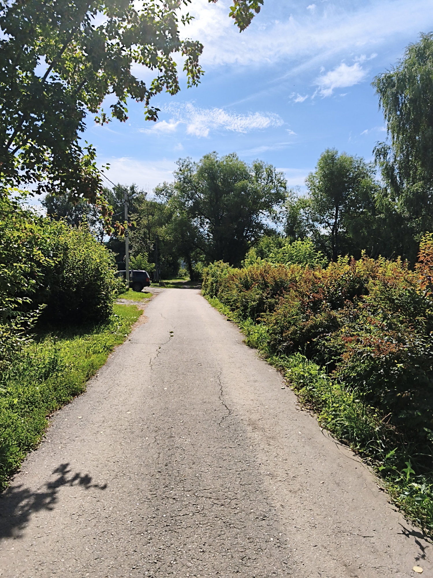 An asphalt road leads into a sun-drenched, tree-lined area in Dolgoprudny, Russia. The road is cracked and a dark-colored SUV is parked on the left side, partially obscured by dense green bushes. Tall trees with lush green foliage border the road on both sides, with some of the bushes displaying reddish-brown leaves. The sky above is a bright blue, dotted with scattered white clouds, and the sun casts shadows of tree branches onto the road. The scene depicts a peaceful, natural setting within the city.