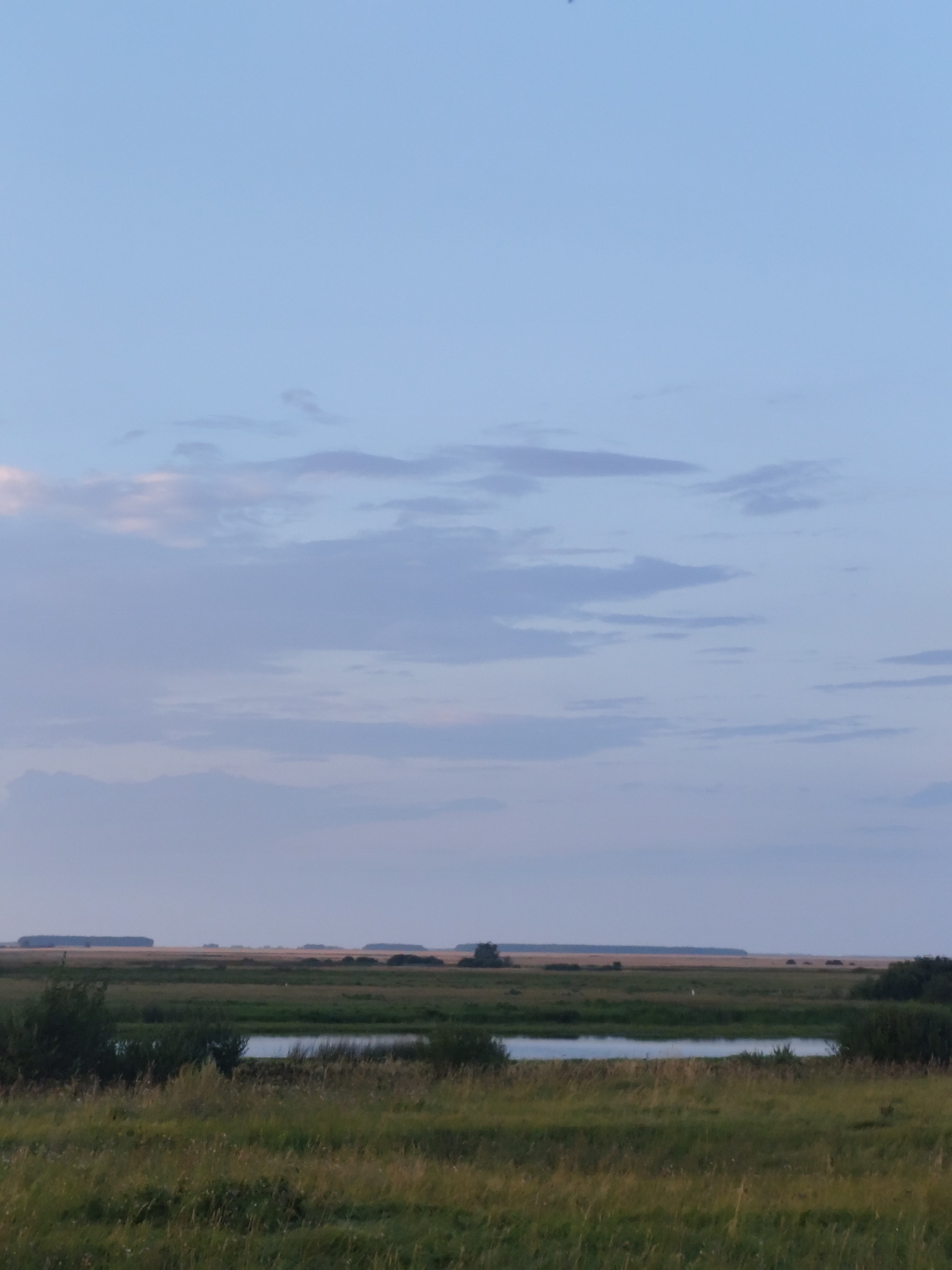 The image depicts a wide, horizontal landscape under a pale blue sky with scattered, wispy clouds. The foreground is dominated by tall, green and yellow grass, some of which appears dry. A small, still body of water, reflecting the sky, is visible in the middle ground, bordered by dense green shrubs and trees. Beyond the water, the landscape transitions to fields of golden-brown crops, interspersed with lines of dark green trees forming distant horizons. The scene is natural and undeveloped, with no visible human activity or structures in the immediate vicinity. The overall impression is one of a rural or natural setting, likely in a steppe or prairie environment given the vegetation. The location is specified as Nikolaev Rural District, Kazakhstan.