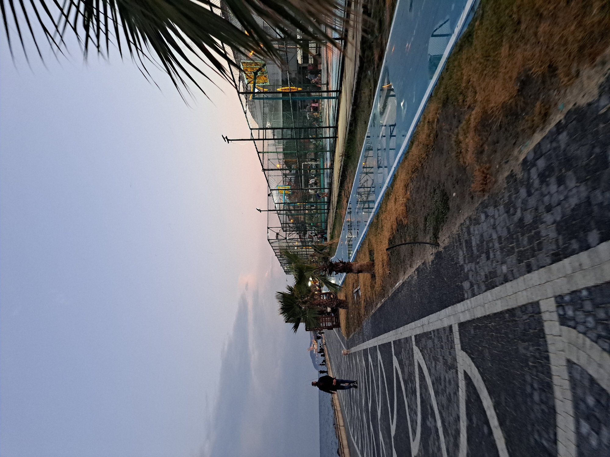The image depicts a waterfront promenade in Tekirdağ, Turkey, during twilight. The promenade features a patterned cobblestone walkway on the left and a blue-colored running or cycling path on the right, which appears wet and reflects the surrounding lights. Several people are visible along the promenade, including a man walking with a small dog, and others gathered near a fenced sports court in the background. The sports court, possibly for tennis or basketball, has netting and lights. Palm trees line the area between the walkway and the sports court. The sea is to the left of the promenade, with a gentle incline of land and distant structures visible on the horizon. The sky is a soft gradient of blue and pink, indicating the time of day.