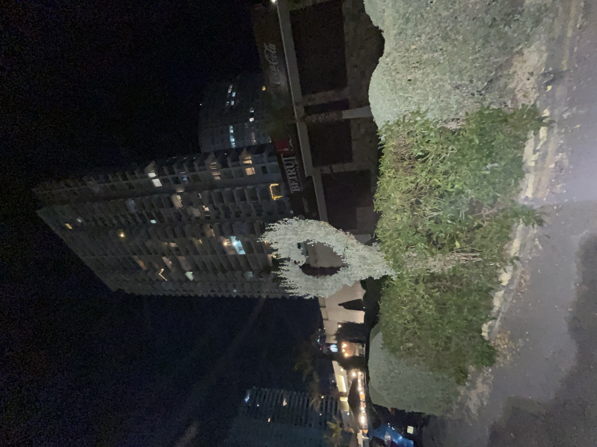 The image depicts an urban night scene in Beirut, Lebanon. In the foreground, a dark asphalt surface transitions into a row of green hedges of varying heights and textures. Centrally positioned within these hedges is a heart-shaped topiary made of light-colored foliage. To the far left, a portion of a blue vehicle is visible behind the hedges. The mid-ground features a low-rise commercial building with a prominent illuminated red sign displaying "BEIRUT" and a less distinct "Coca-Cola" sign to its right. Palm trees are scattered around this building, which also reveals glimpses of warmly lit outdoor patio areas with umbrellas. The background is dominated by multiple tall, multi-story buildings, primarily illuminated by internal lights from numerous windows and balconies. The sky is dark, indicating nighttime. No people are visible.