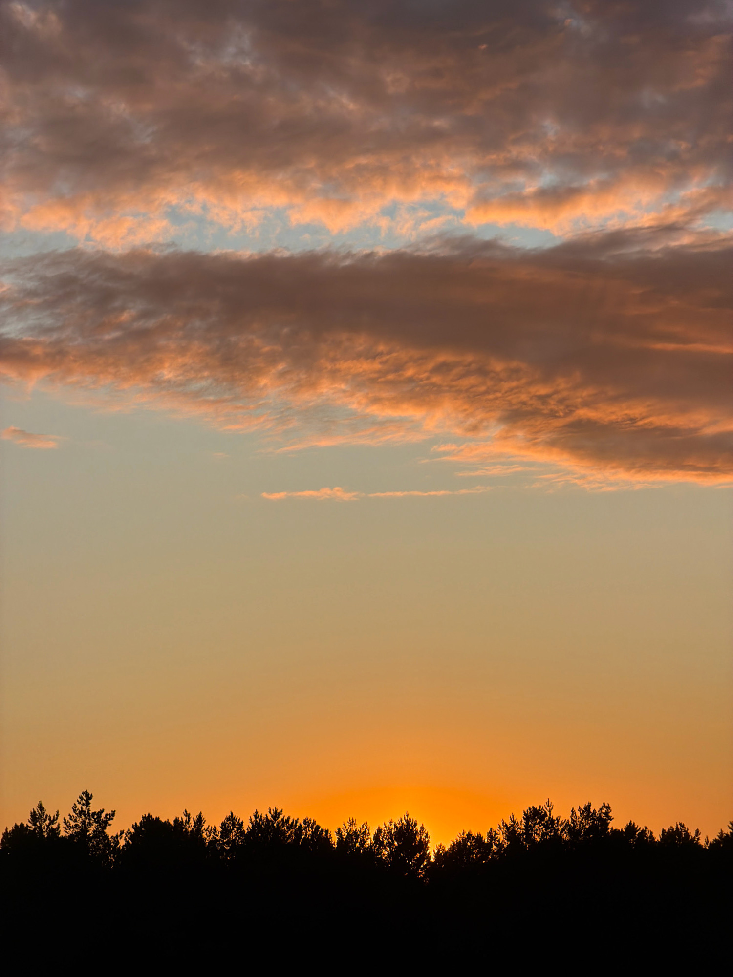 The image depicts a sunset over a treeline in Tsiolkovsky, Russia. The sky is a gradient of warm colors, transitioning from a pale yellow-orange near the horizon to a soft blue at the top, with scattered clouds tinged with orange and pink. The treeline is a dark silhouette against the bright sky, with the tops of the trees varying in height and density. No people or man-made structures are visible in the scene, creating a natural and tranquil atmosphere.