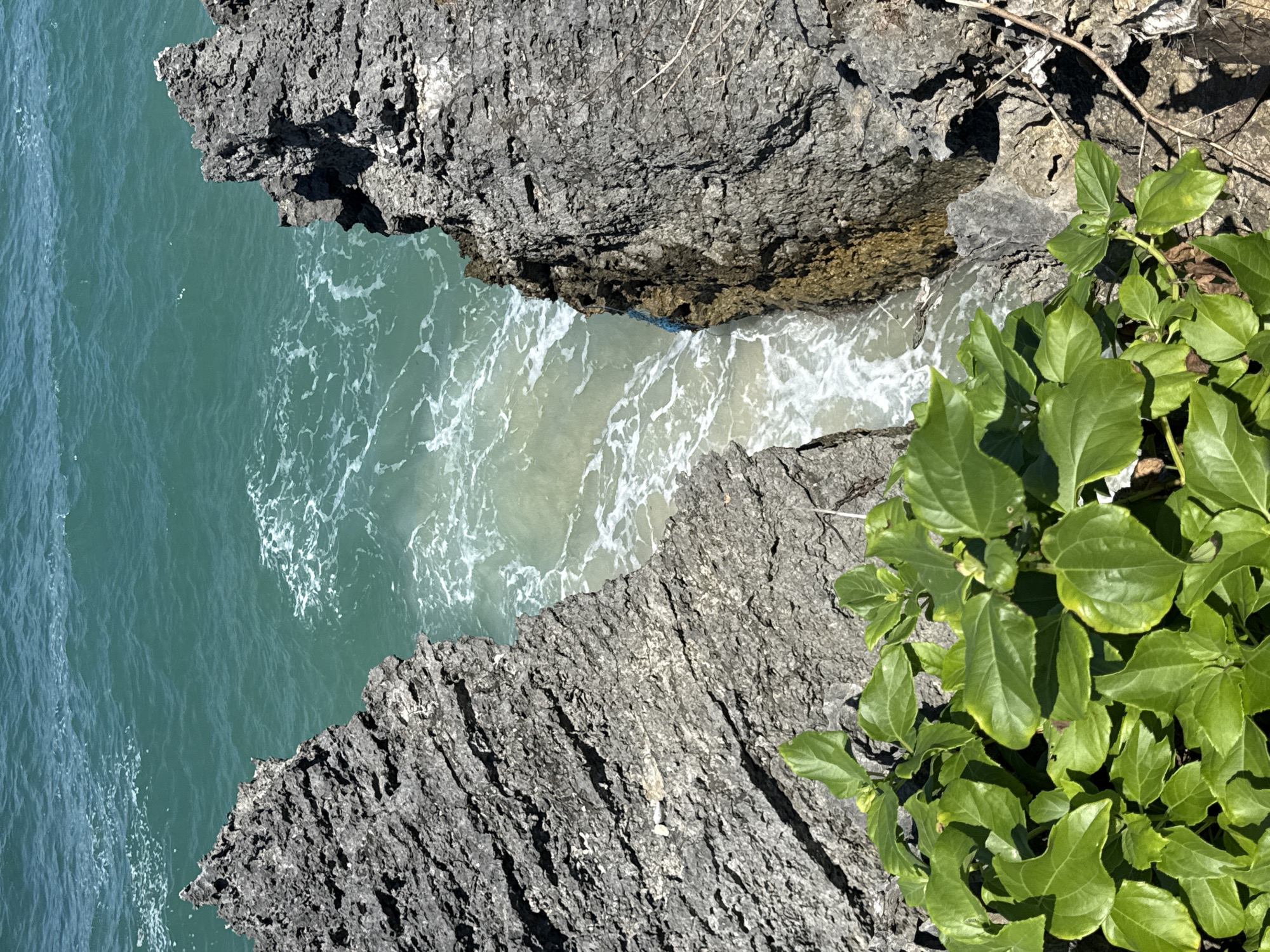 The image depicts a rugged coastline in Kuta Selatan, Indonesia, with two prominent, weathered rock formations framing a narrow inlet of the ocean. The water is a vibrant turquoise, with white foam indicating gentle waves breaking against the rocks and the sandy bottom of the inlet. Lush green foliage spills over the edge of the rock in the foreground, adding a touch of life to the otherwise stark landscape. The rocks are dark gray and textured, showing evidence of erosion and sea spray. The scene is brightly lit by sunlight, suggesting a clear day. There are no people or animals visible in the image. A small piece of blue plastic is caught on the rock face within the inlet. The overall impression is one of natural beauty and the raw power of the ocean shaping the land.