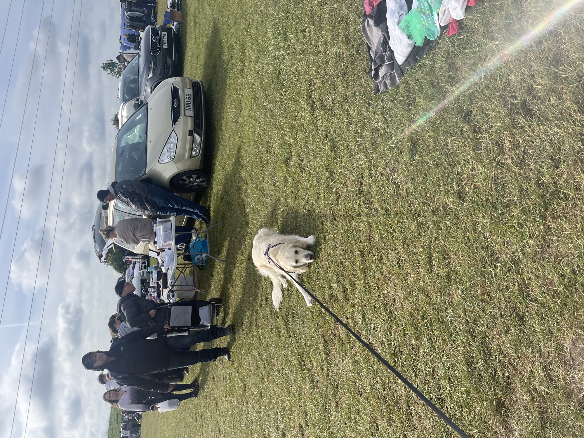 The image shows an outdoor car boot sale on a grassy field. A golden retriever dog lies on the grass, attached to a black leash extending towards the lower right of the frame. People are gathered around tables displaying items for sale, near parked cars. A beige Ford car with license plate "NMU 66" is visible. The location is the city of Sevenoaks, United Kingdom. Other parked cars and clothing piles are nearby. Overhead power lines are present. The sky is visible with clouds.