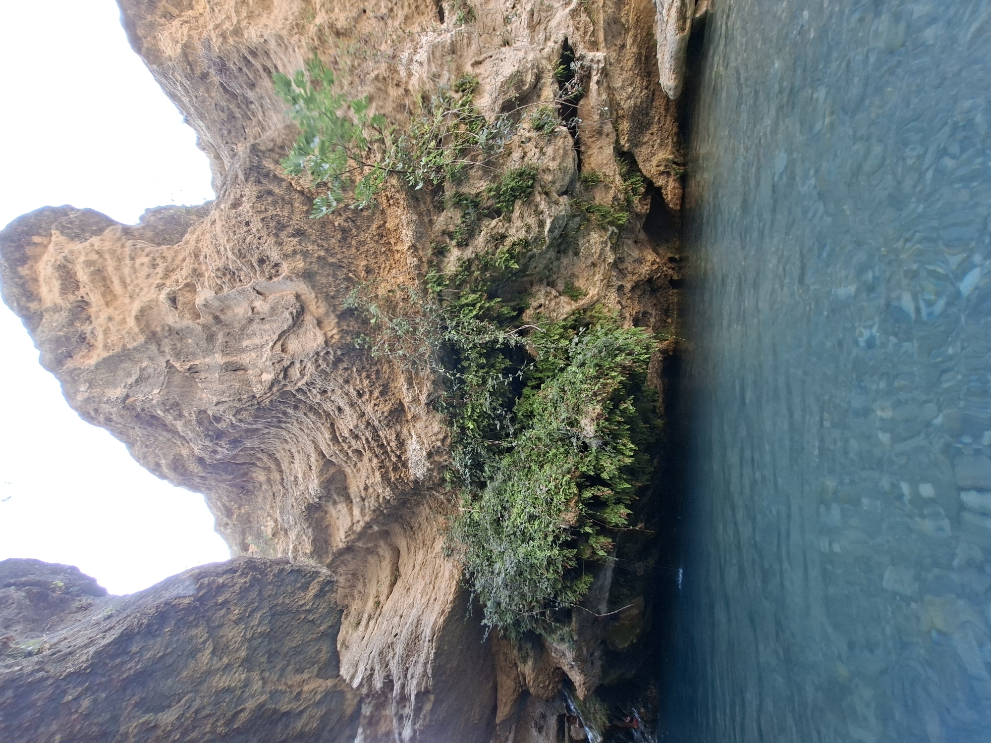 A wide-angle, low-angle shot depicts a narrow canyon with steep, textured rock walls and a clear, calm body of water in the foreground. The rock formations are layered and eroded, with shades of tan and brown. Lush green vegetation, including ferns and vines, grows from crevices and overhangs on the rock faces. The water is a vibrant blue, with the rocky bottom visible through its translucent surface. The sky is bright and overcast, suggesting soft, diffused light. No people or animals are visible.