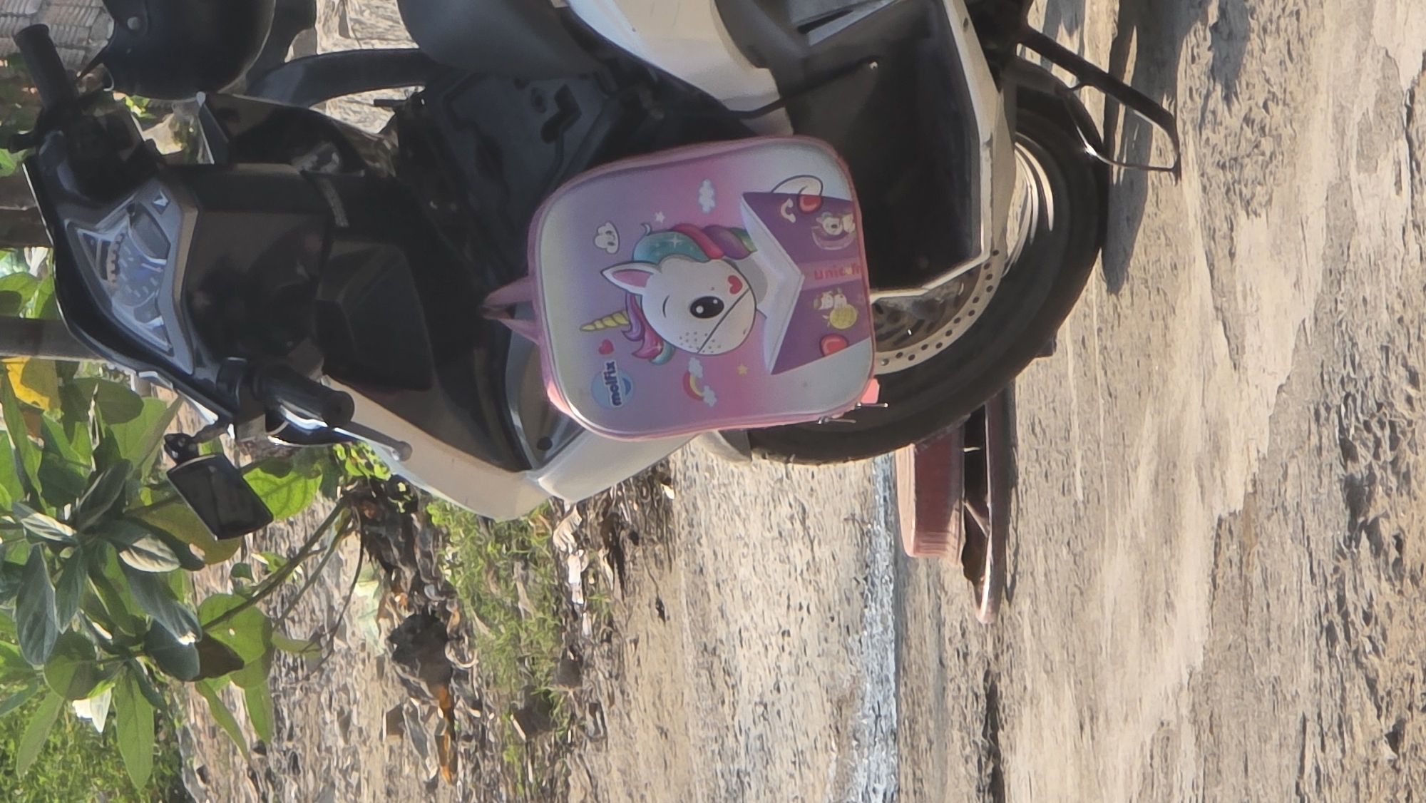A pink children's backpack with a unicorn cartoon design is resting on the seat of a parked motorcycle. The motorcycle is white and black. Lush green vegetation is visible on the left side of the frame. The motorcycle is parked on a paved surface. The background is blurred, but appears to be an urban or suburban scene. This image likely originates from a location near the Bac Natural Heritage Area Trang, Vietnam, although this cannot be verified based solely on the image content.