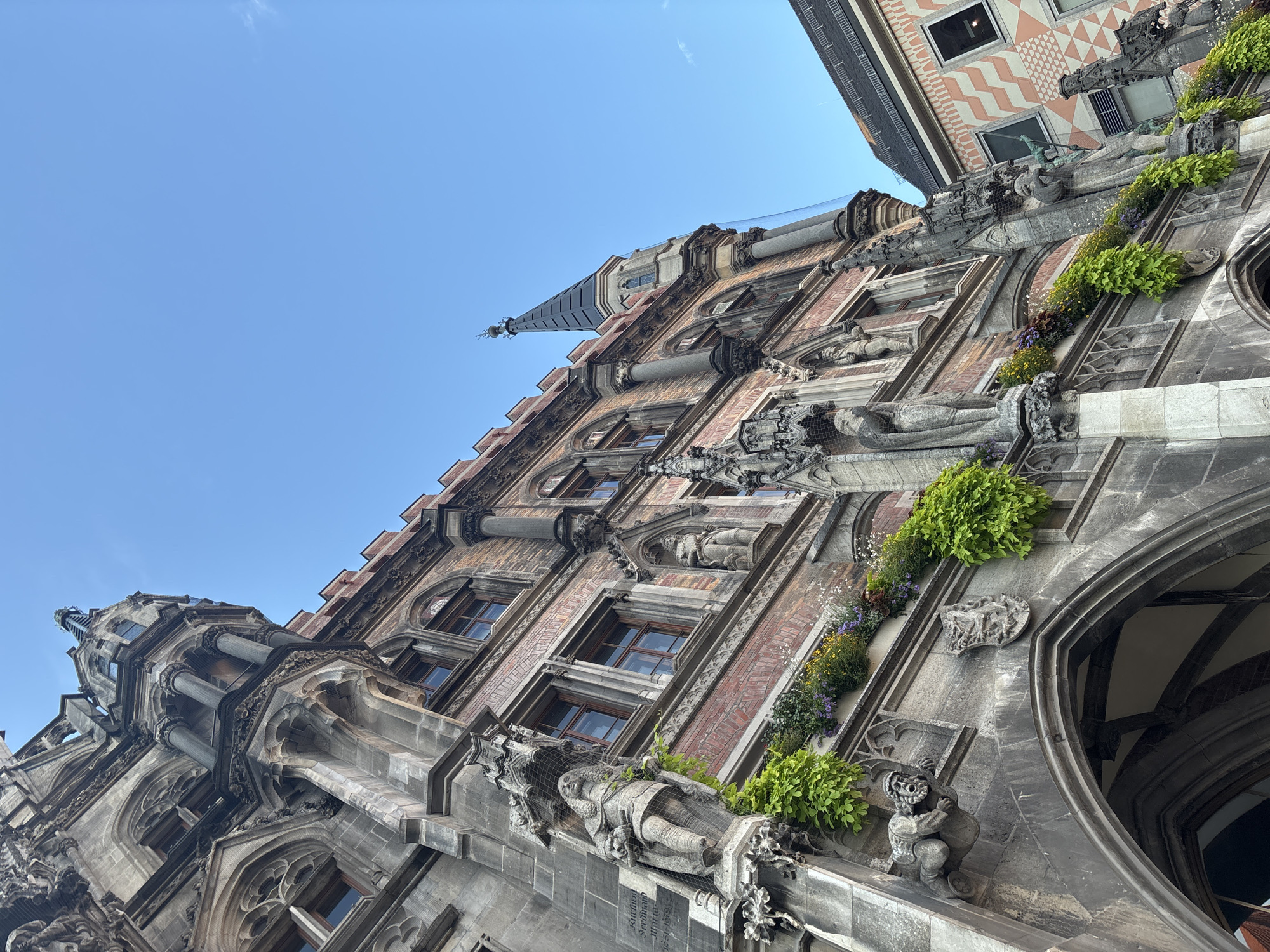 The image displays a low-angle view of the New Town Hall (Neues Rathaus) in Munich, Germany, under a clear blue sky. The Gothic Revival architecture of the building is prominent, featuring intricate stone carvings, statues, and decorative arches. Statues of figures in historical attire are positioned on the facade, some holding objects. Greenery, including lush vines and potted flowers, adorns the balconies and ledges of the building, adding a touch of color to the stone and brick structure. The building's spire, a sharp, dark conical shape, pierces the sky. To the right, a portion of another building with a patterned facade is visible. The overall scene captures a detailed architectural study of a historical landmark.