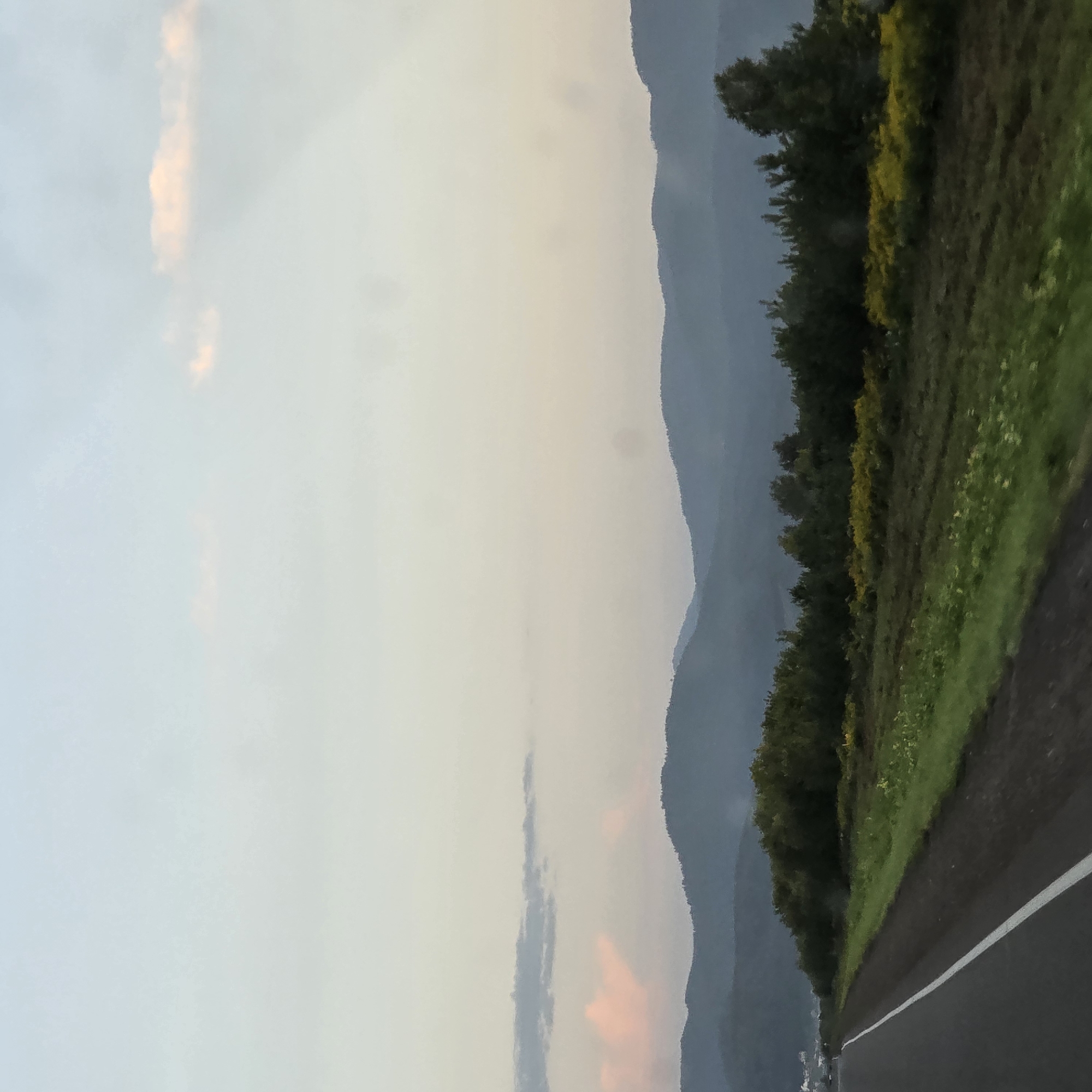 The image depicts a hazy, distant view of rolling mountains under a pale, overcast sky. The foreground is dominated by a paved road with a white line dividing the lanes, suggesting a highway or major road. To the right of the road, there is a strip of green grass, followed by a field dotted with yellow wildflowers. Beyond the field, a dense line of green trees forms a border before the mountains begin. The mountains themselves are layered, with each successive range appearing fainter and bluer, indicating atmospheric perspective. The overall impression is one of a rural or semi-rural landscape, possibly viewed from a moving vehicle. While the image is tagged with "Belokurikha, Russia," there are no specific landmarks or details that definitively confirm this location.